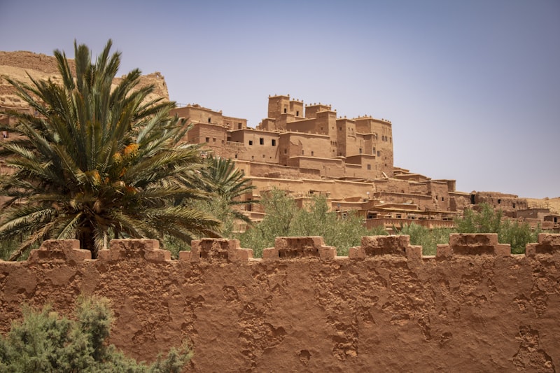 Paisaje desértico con palmera en Marruecos