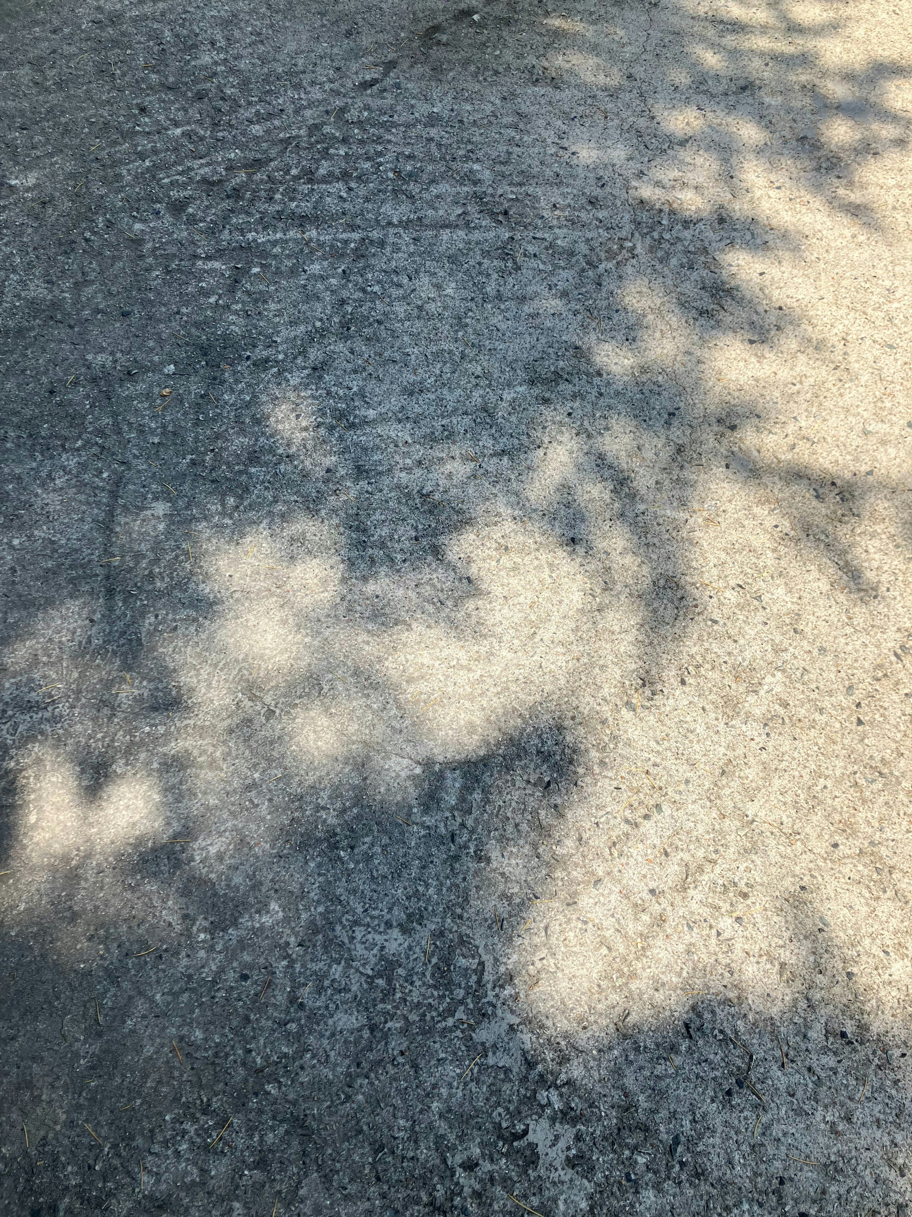 Photo by gimgyoungmin