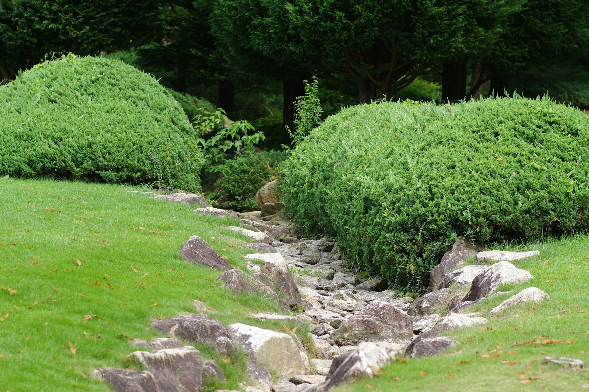 A stream of water running through a lush green park