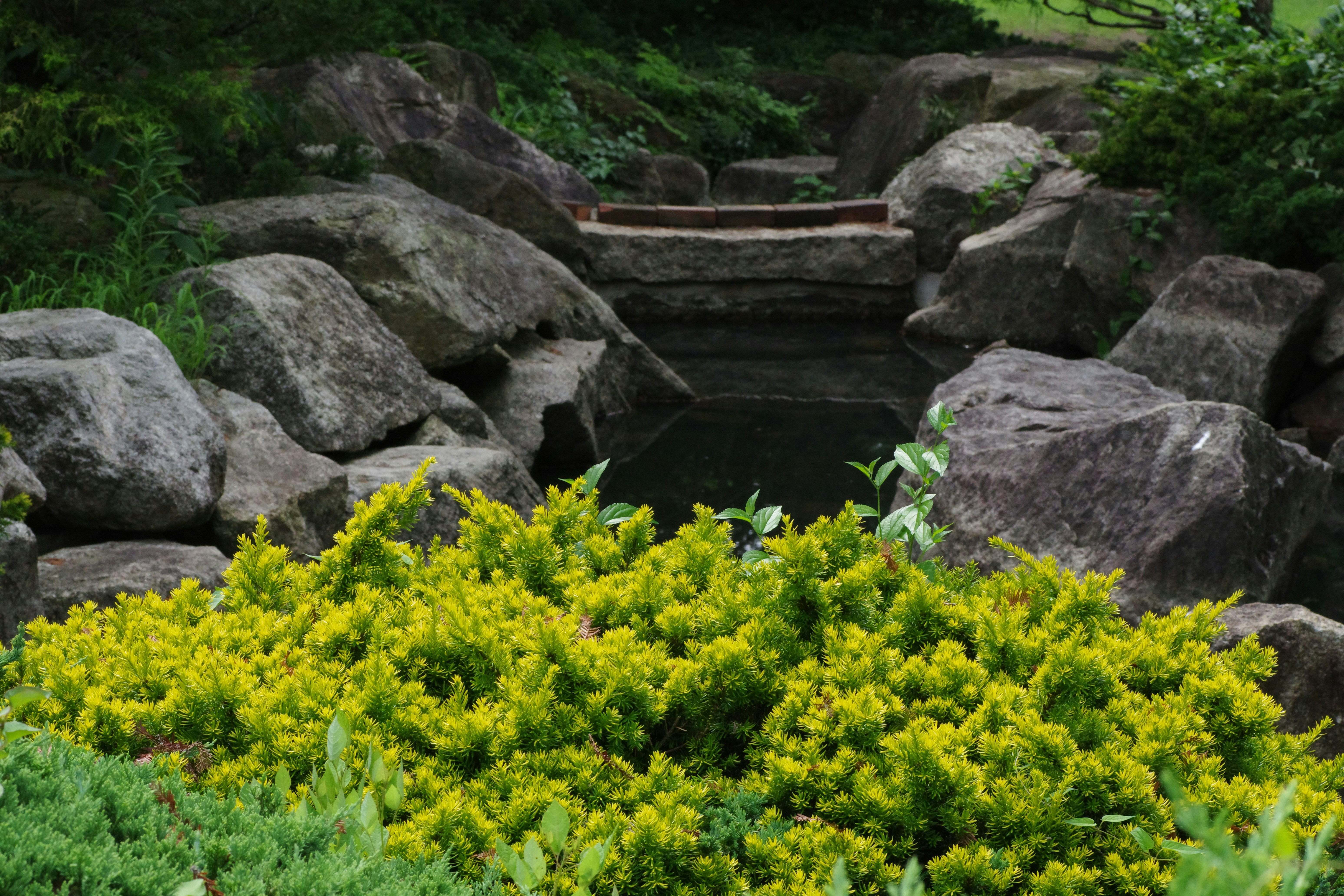 Image by Naoki Suzuki via Unsplash