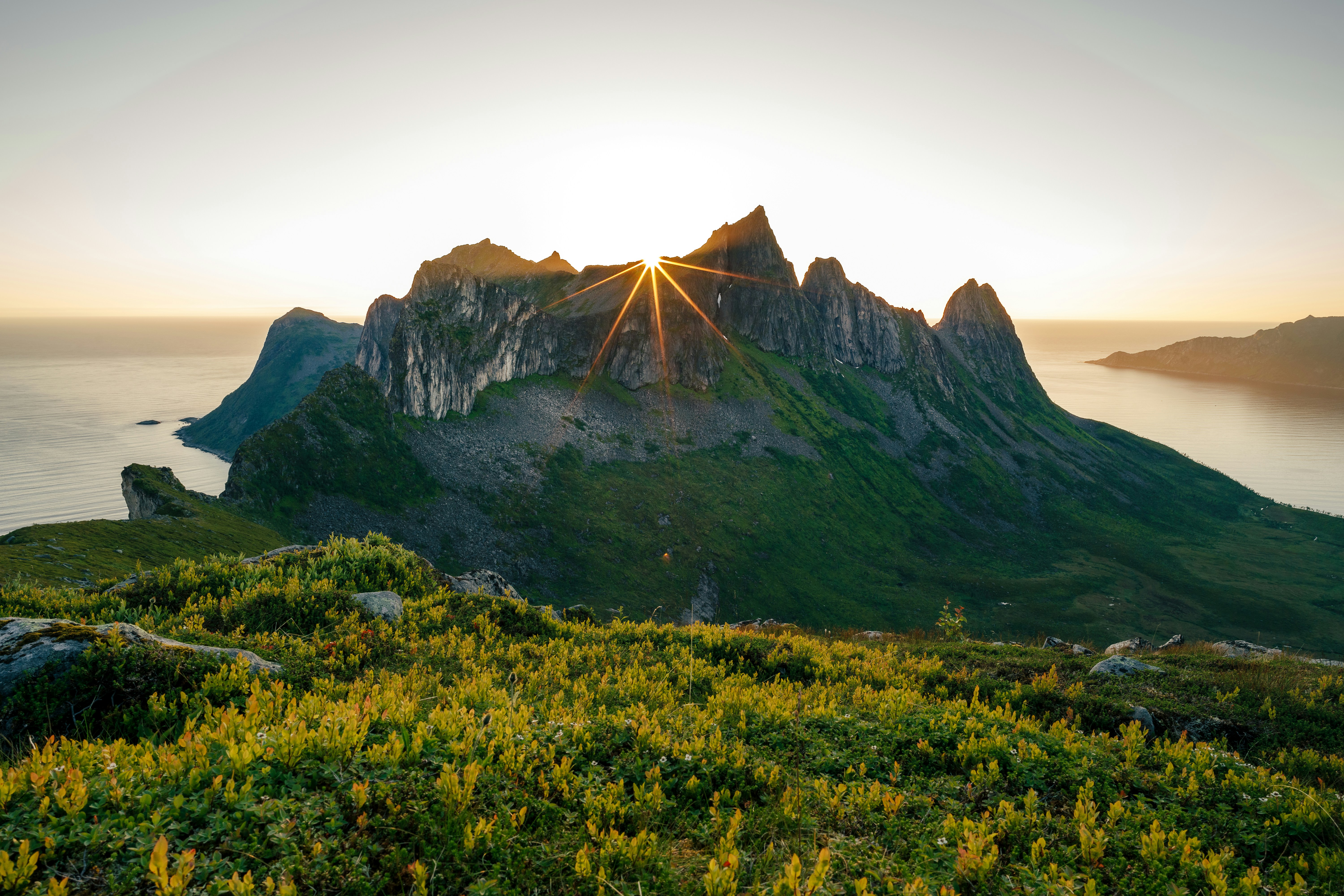 Photo by danielsessler