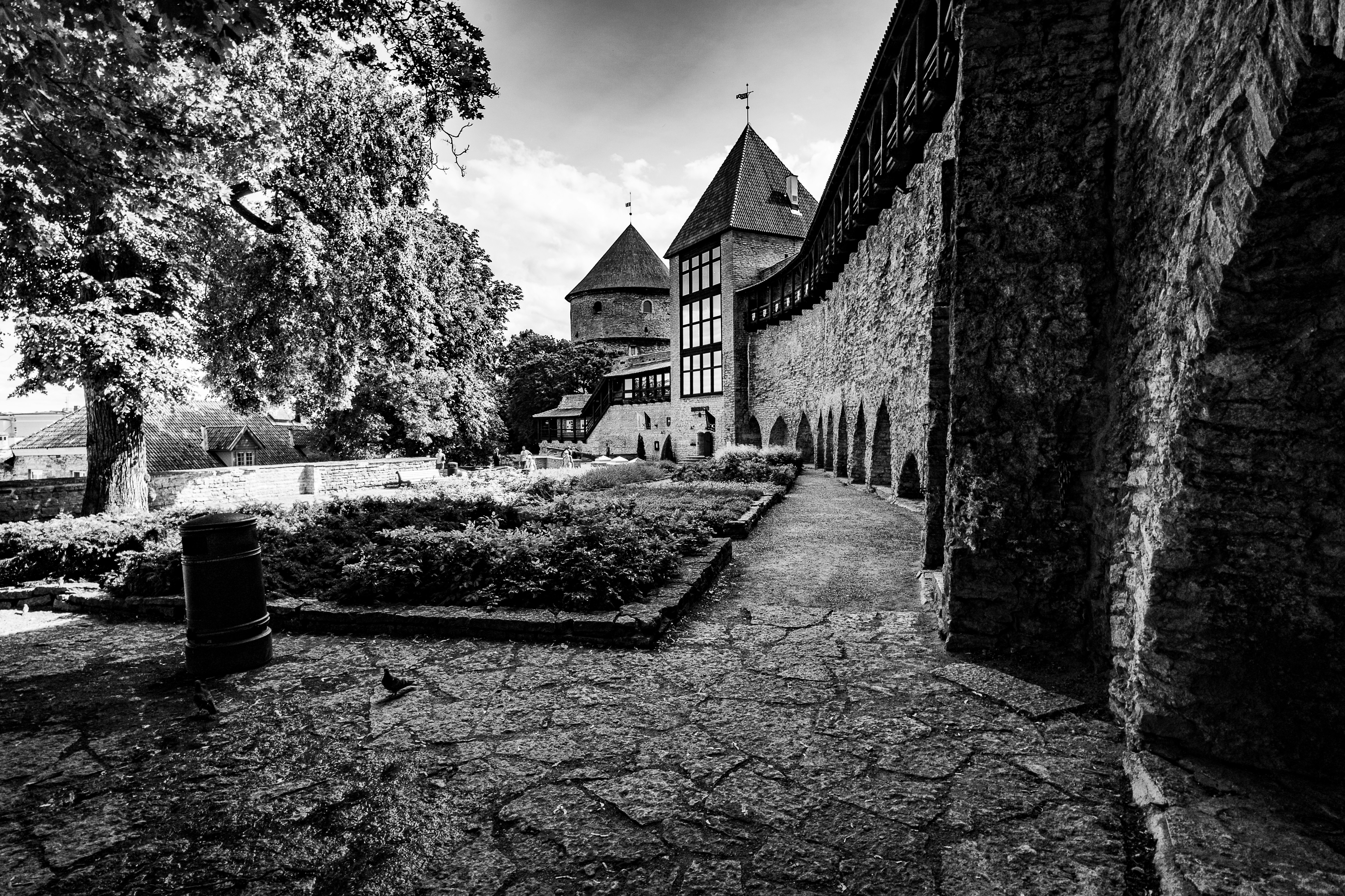 Photo by andruslukas