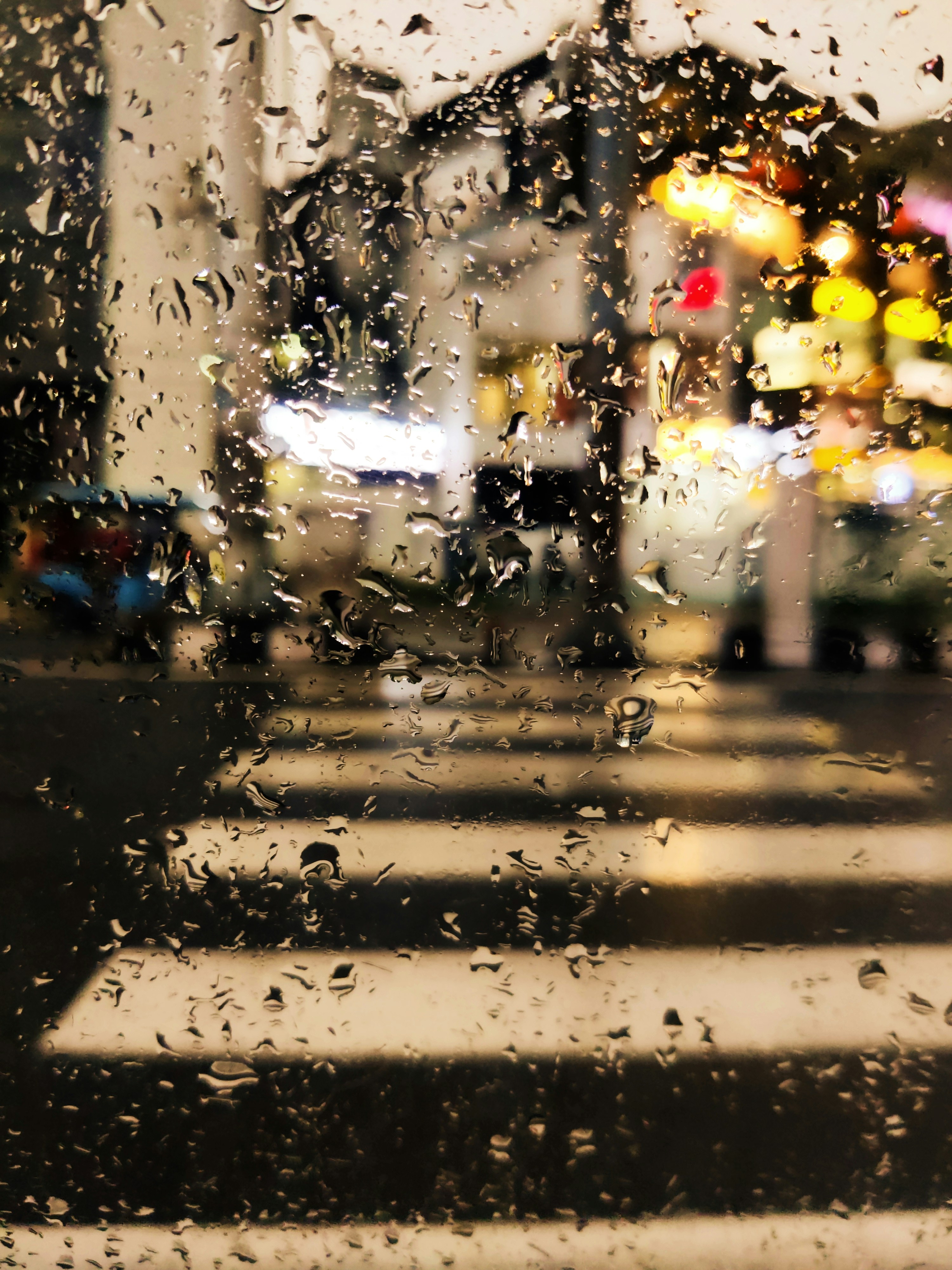 Photo by sparsh_2703