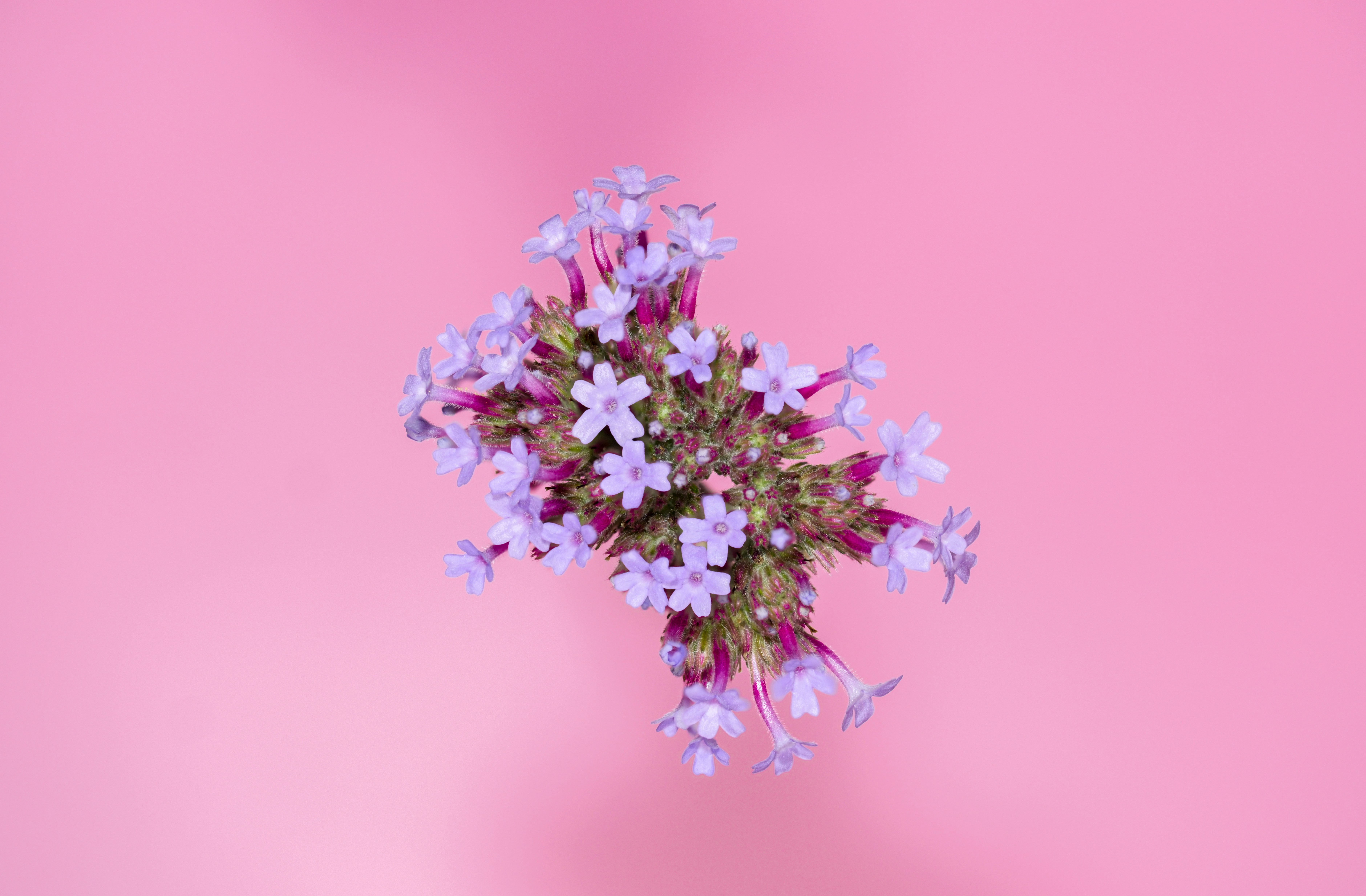 Photo by alexandredaoust