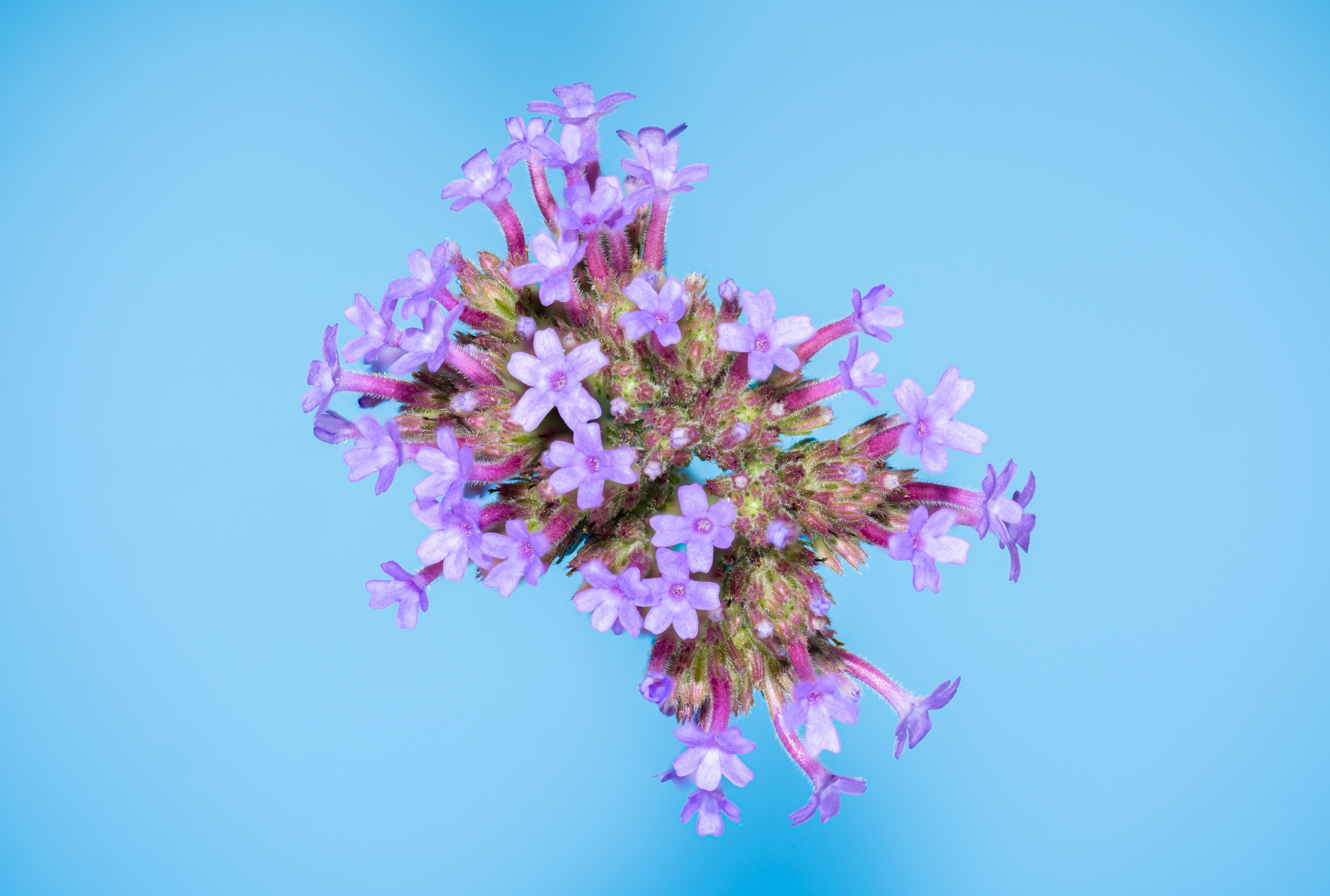 Photo by alexandredaoust