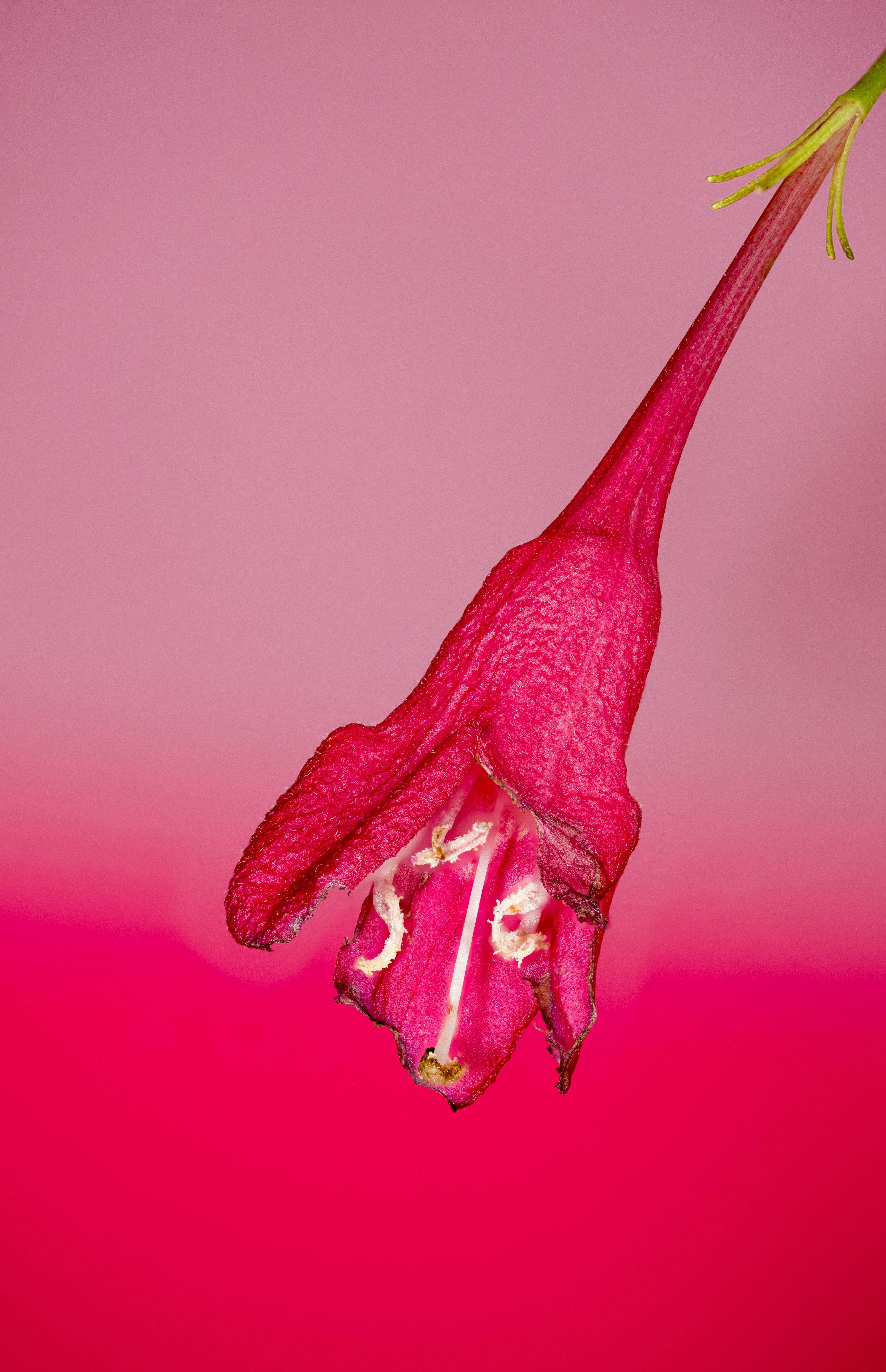 Photo by alexandredaoust