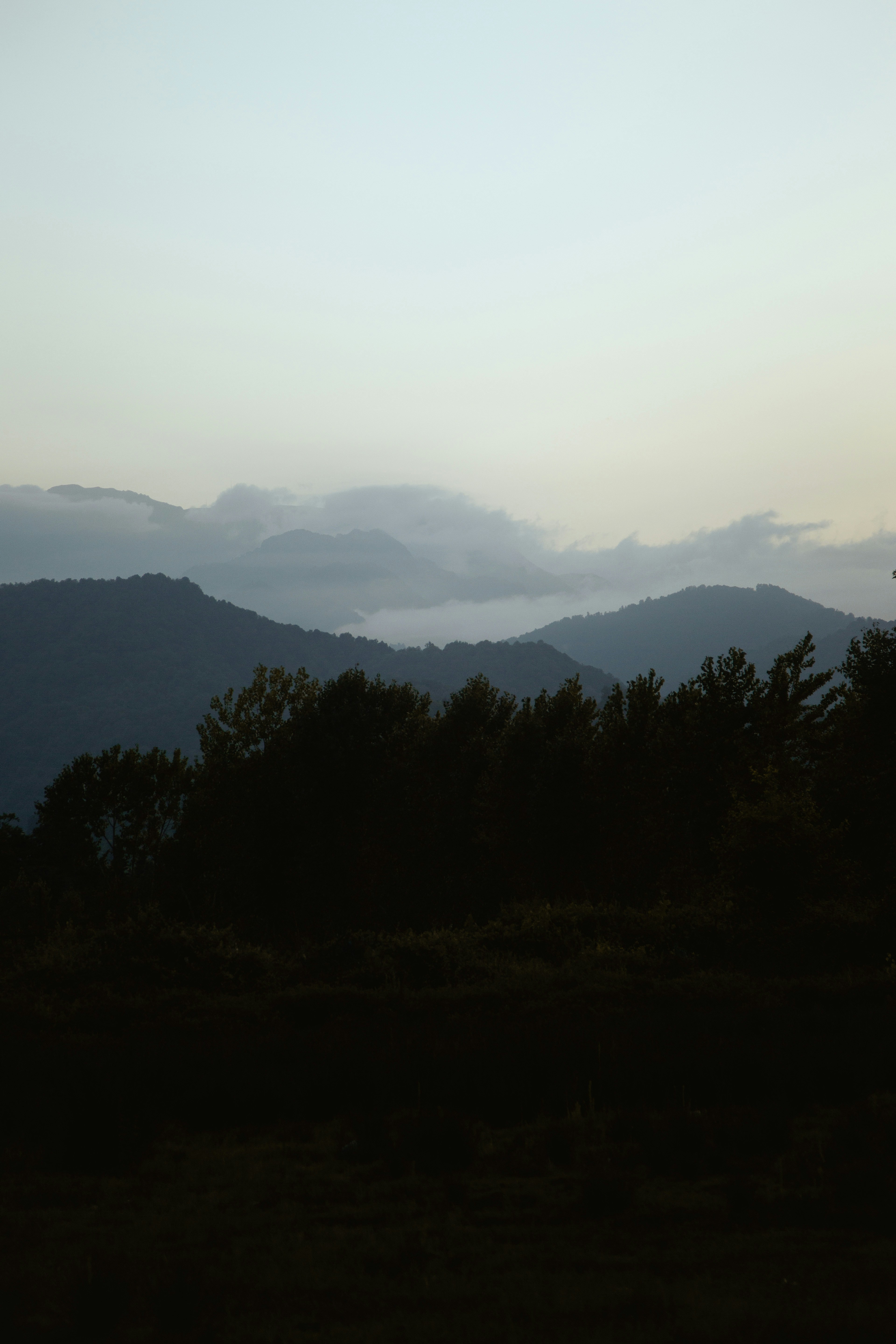 Photo by mrcharkhgard