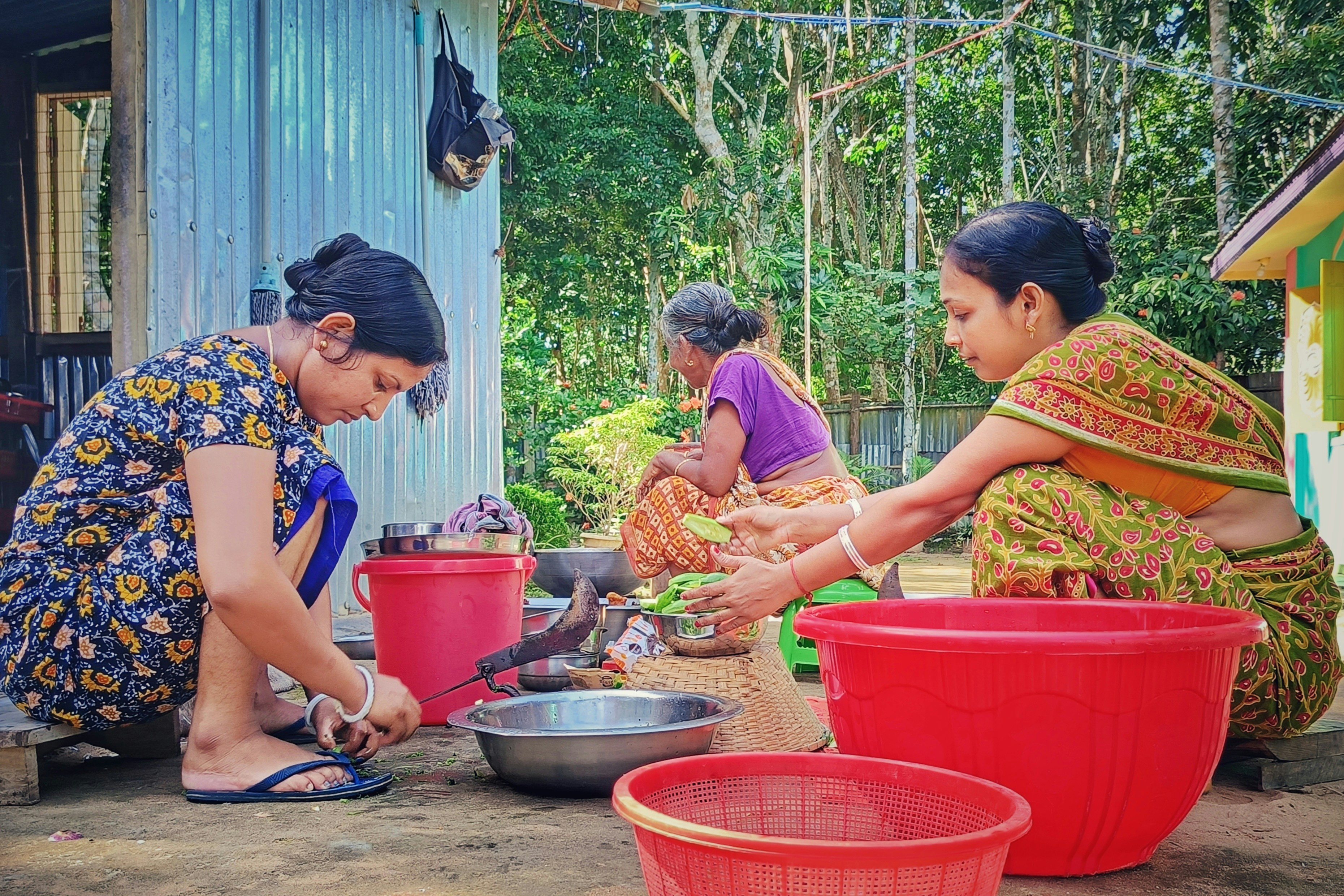 Photo by souravdnath1