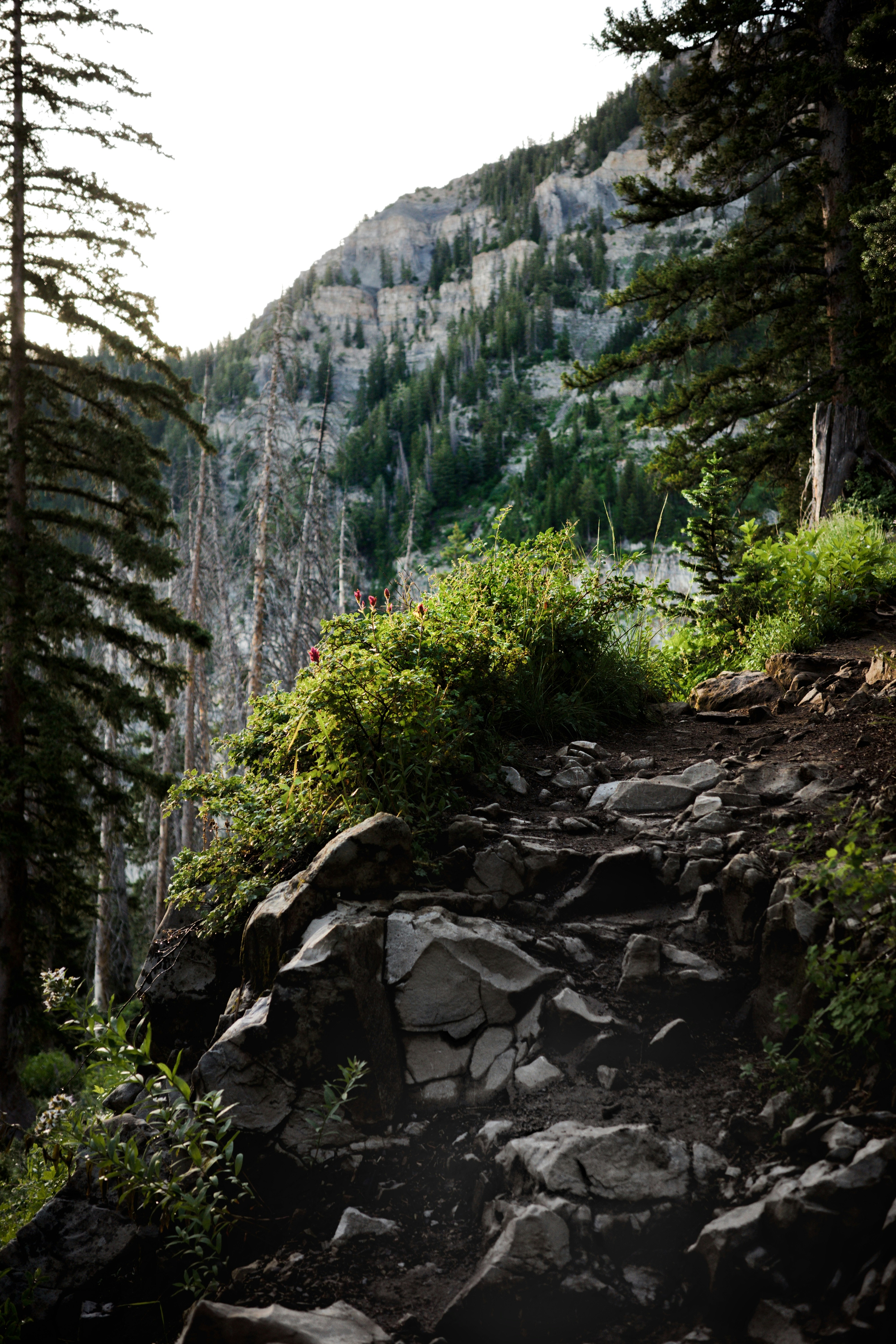 Photo by cam_ballard