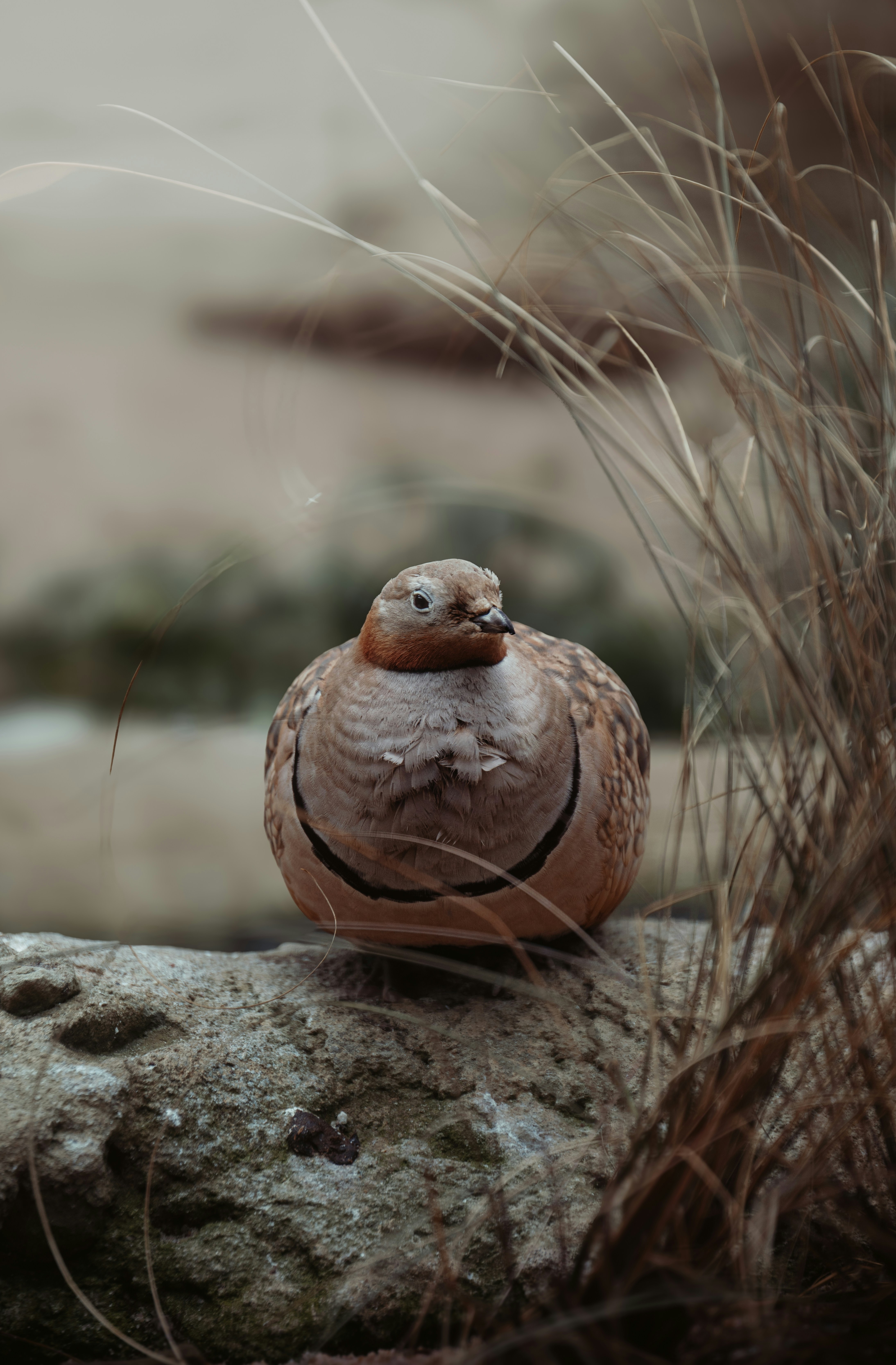 Photo by infernisvox