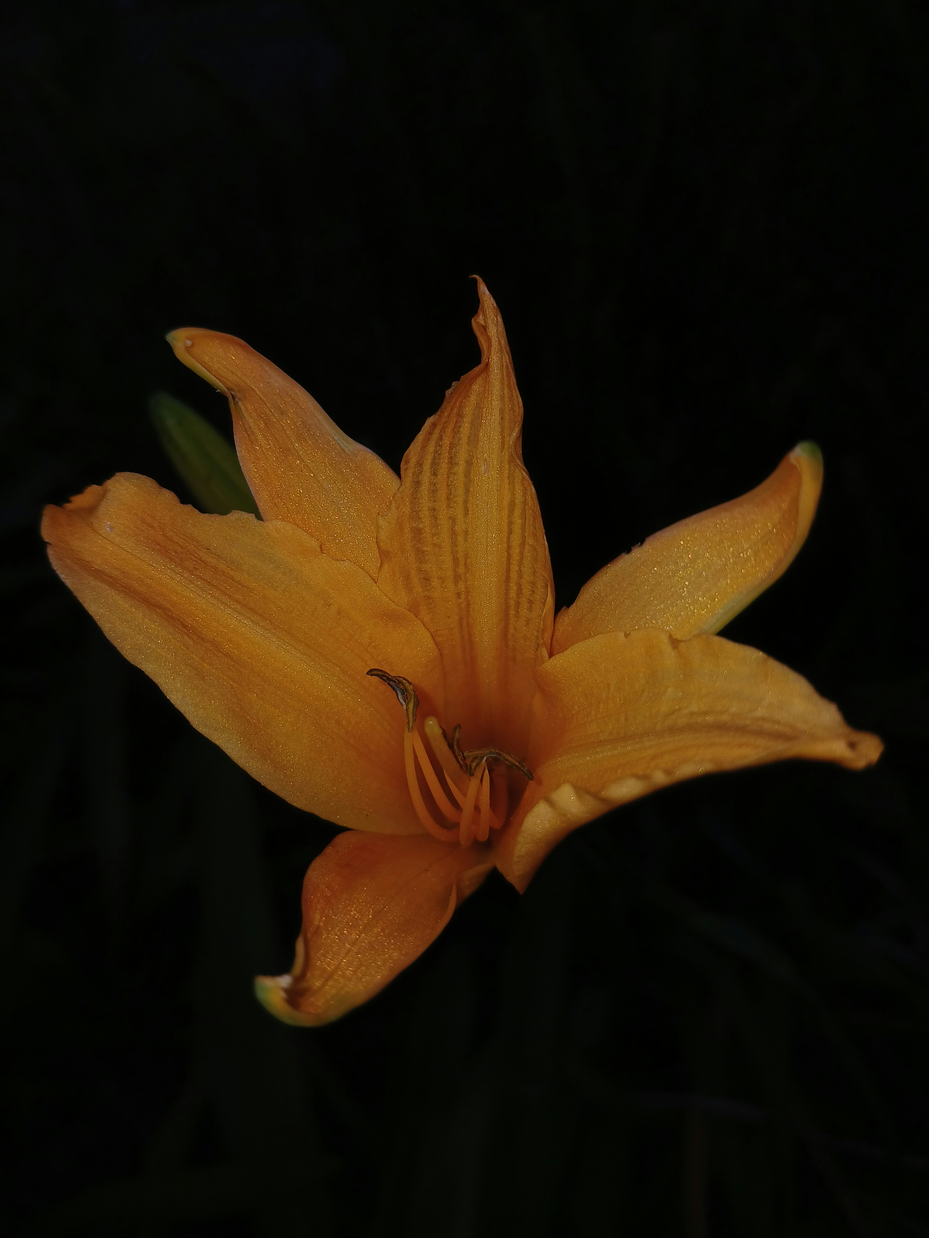 Photo by lyssa_elliott