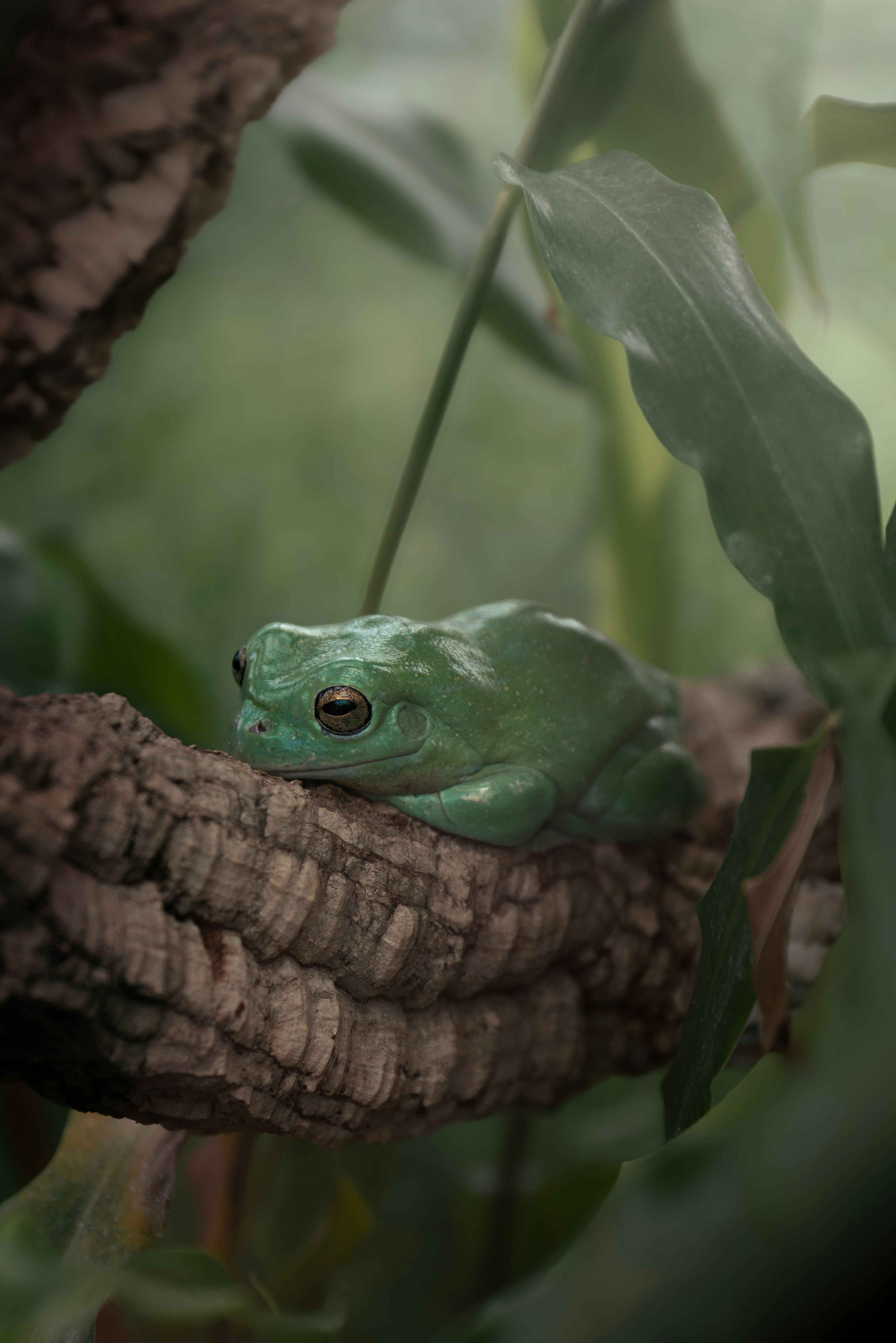 Photo by infernisvox