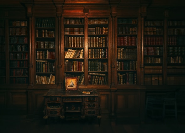A room with a lot of books in it