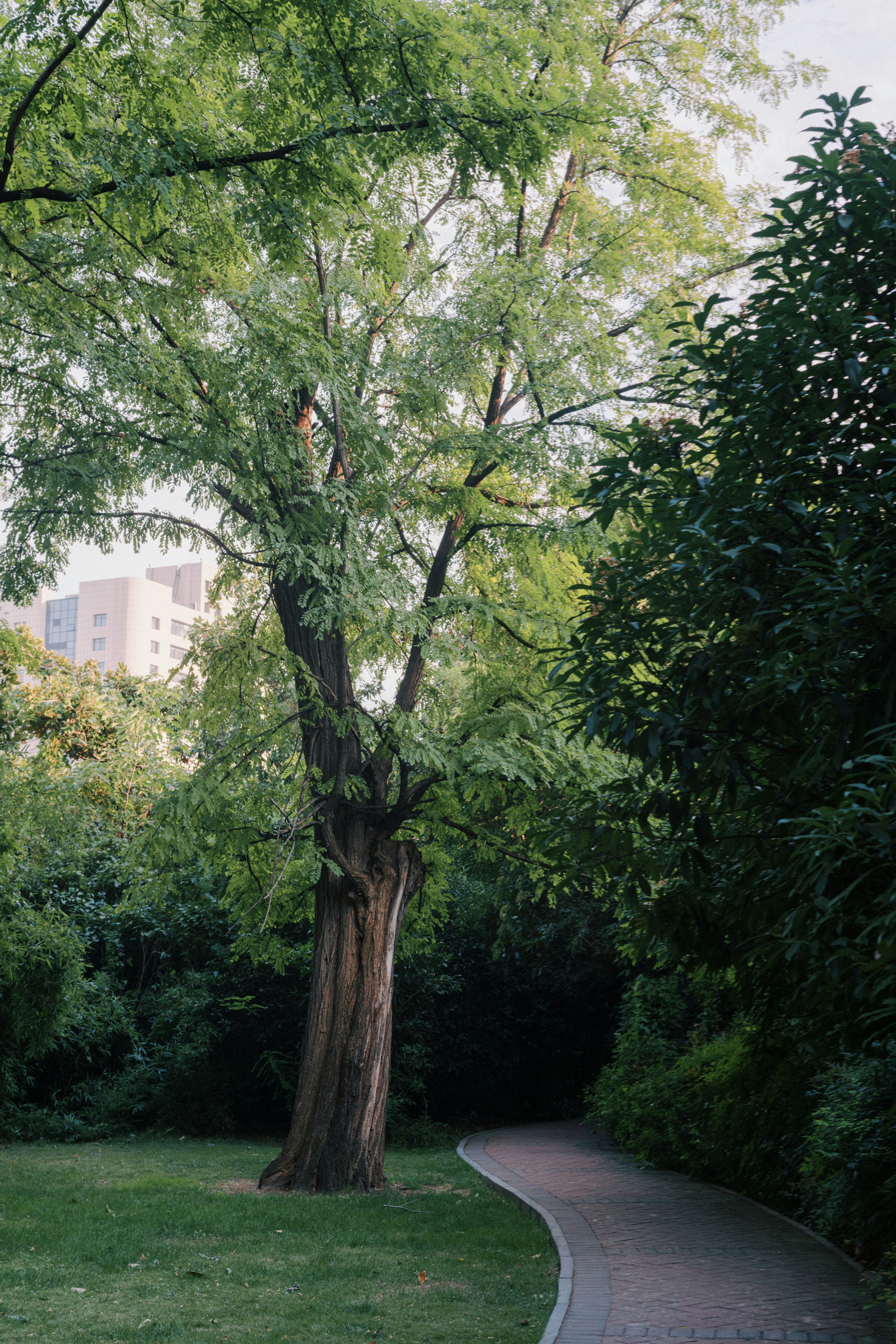 Photo by ooneiroslyl