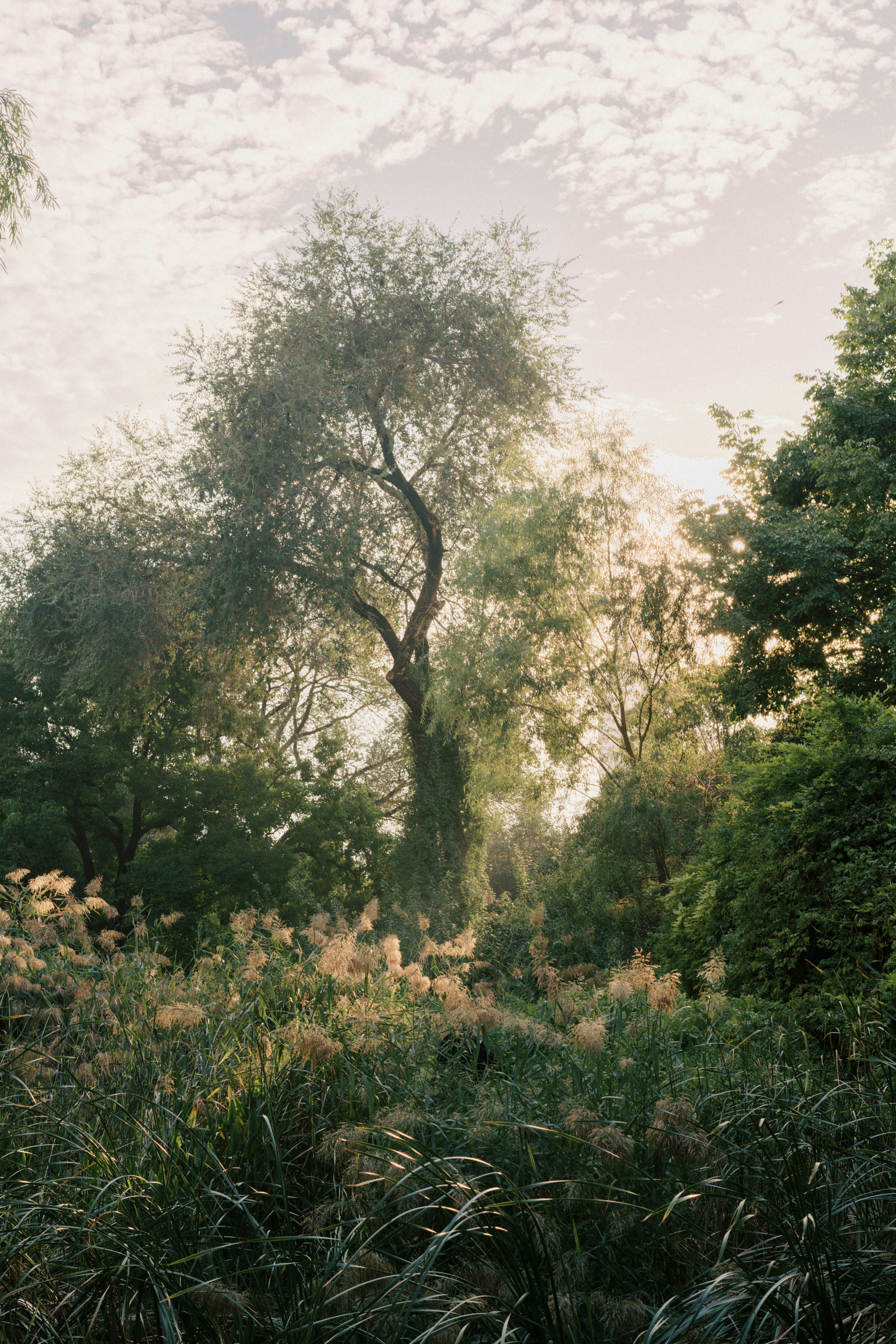 Photo by ooneiroslyl