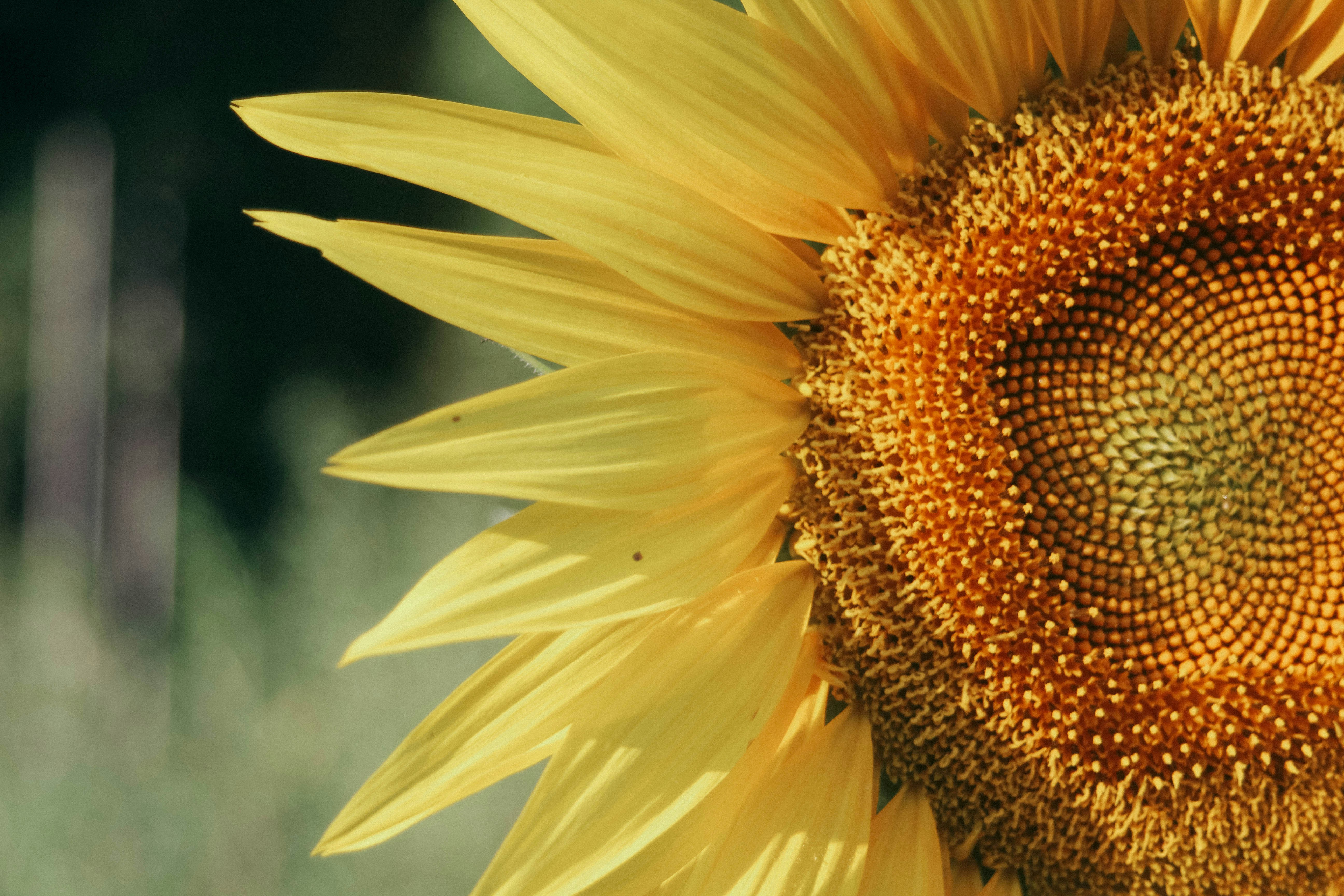 Photo by juliearangio