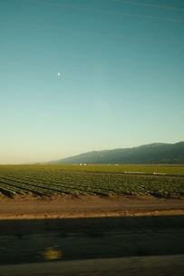 A view of a field from a moving car