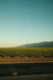A view of a field from a moving car