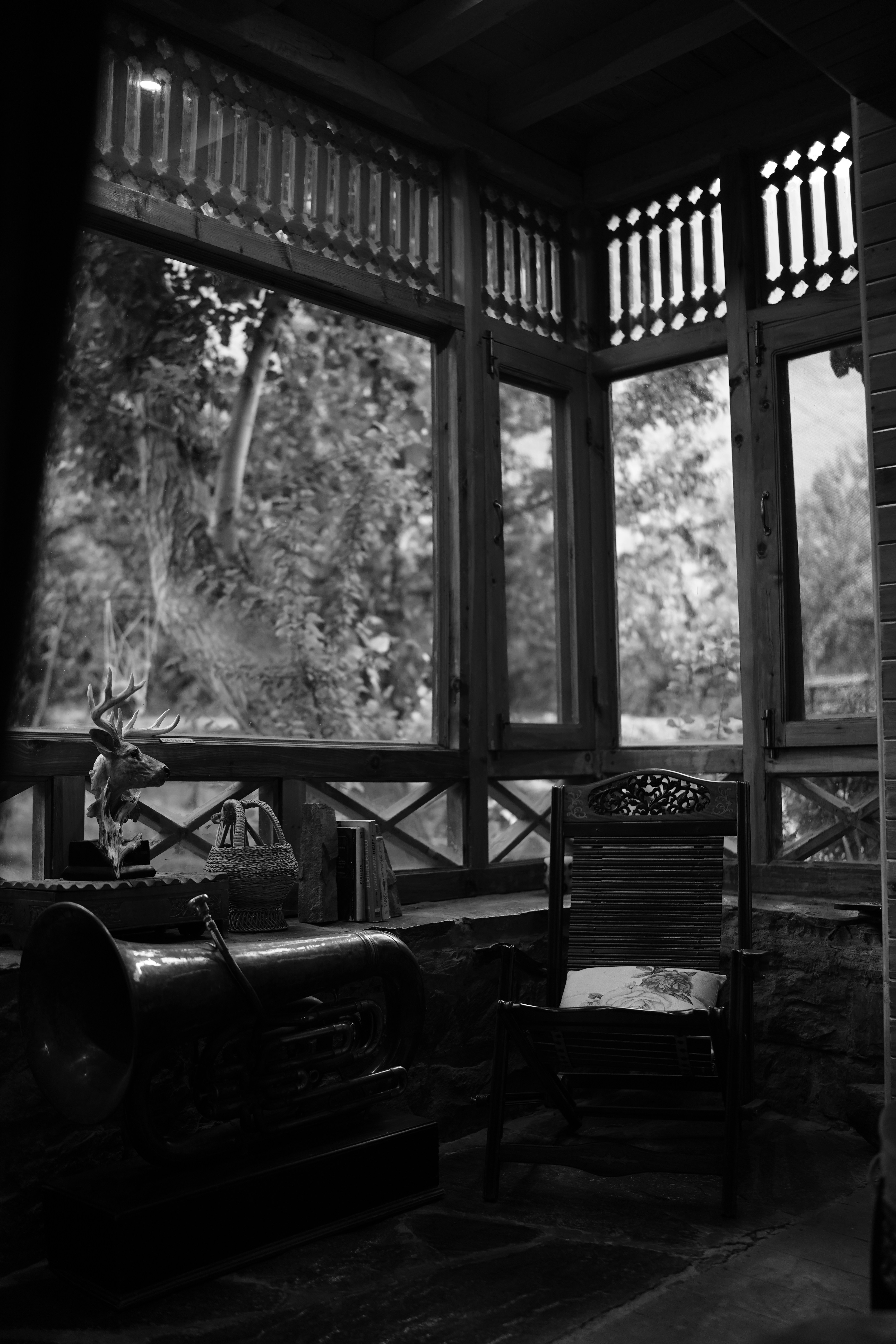 Photo by aliyankarim