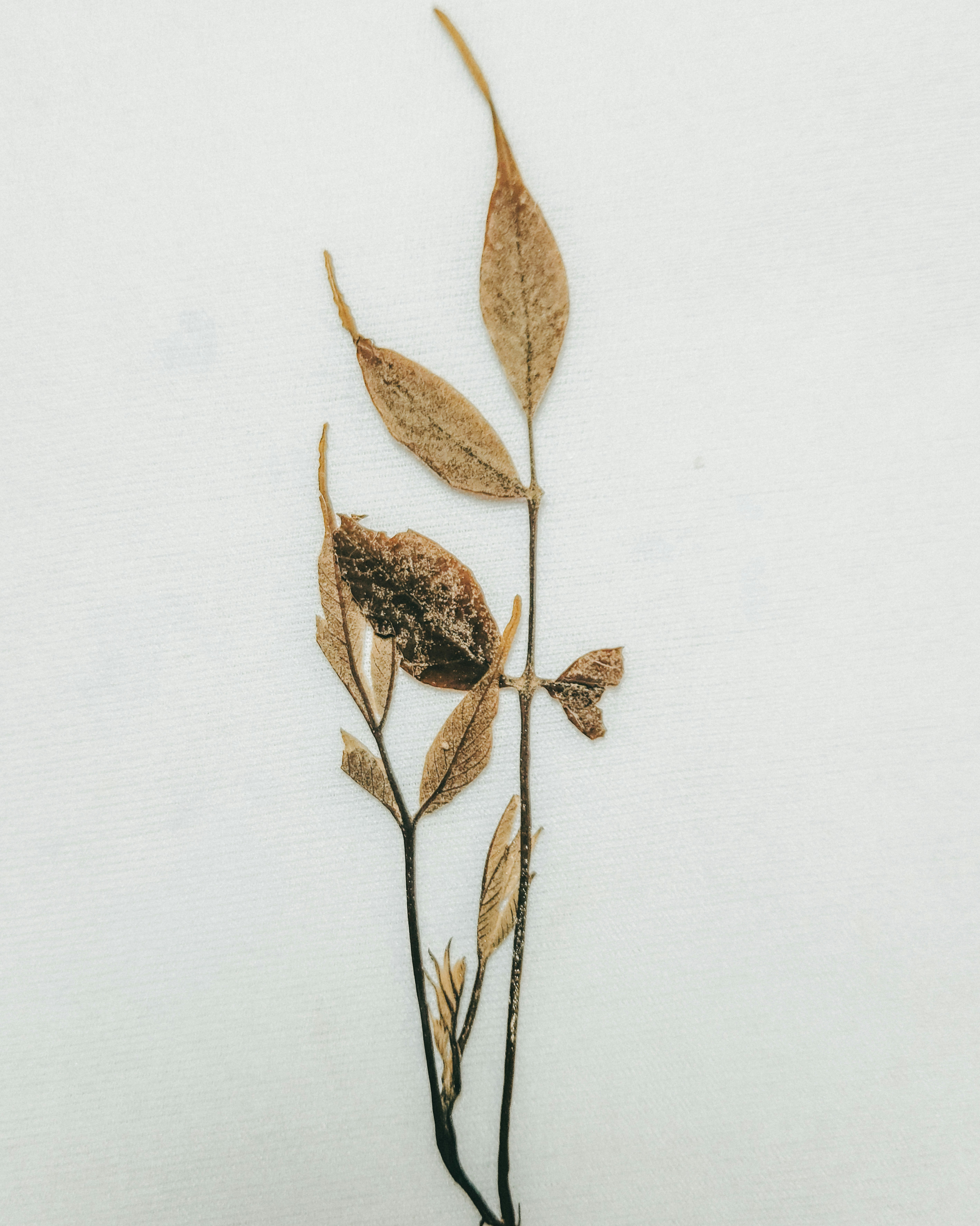 Photo by justcapturingit