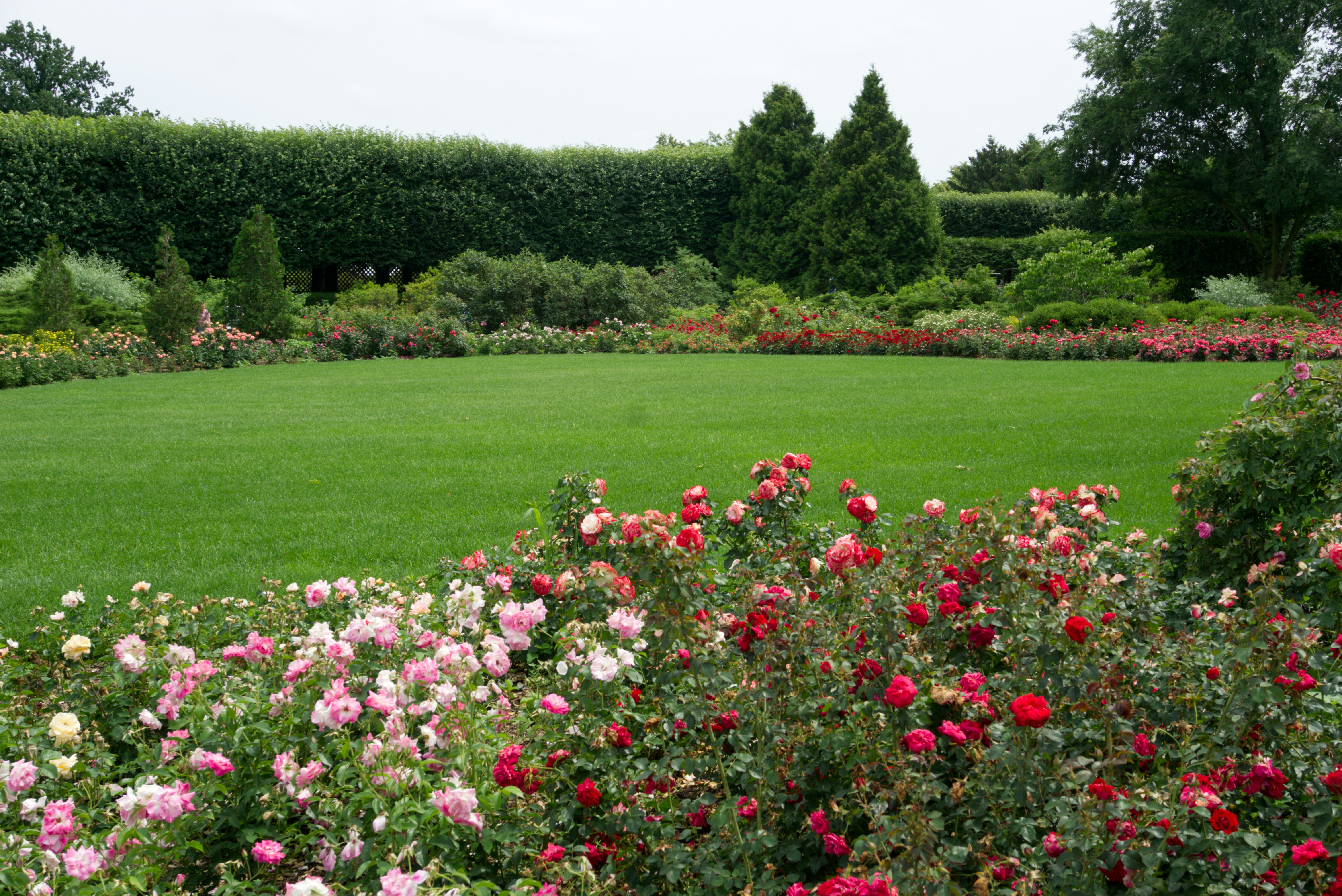 About Affordable Landscaping By Dons