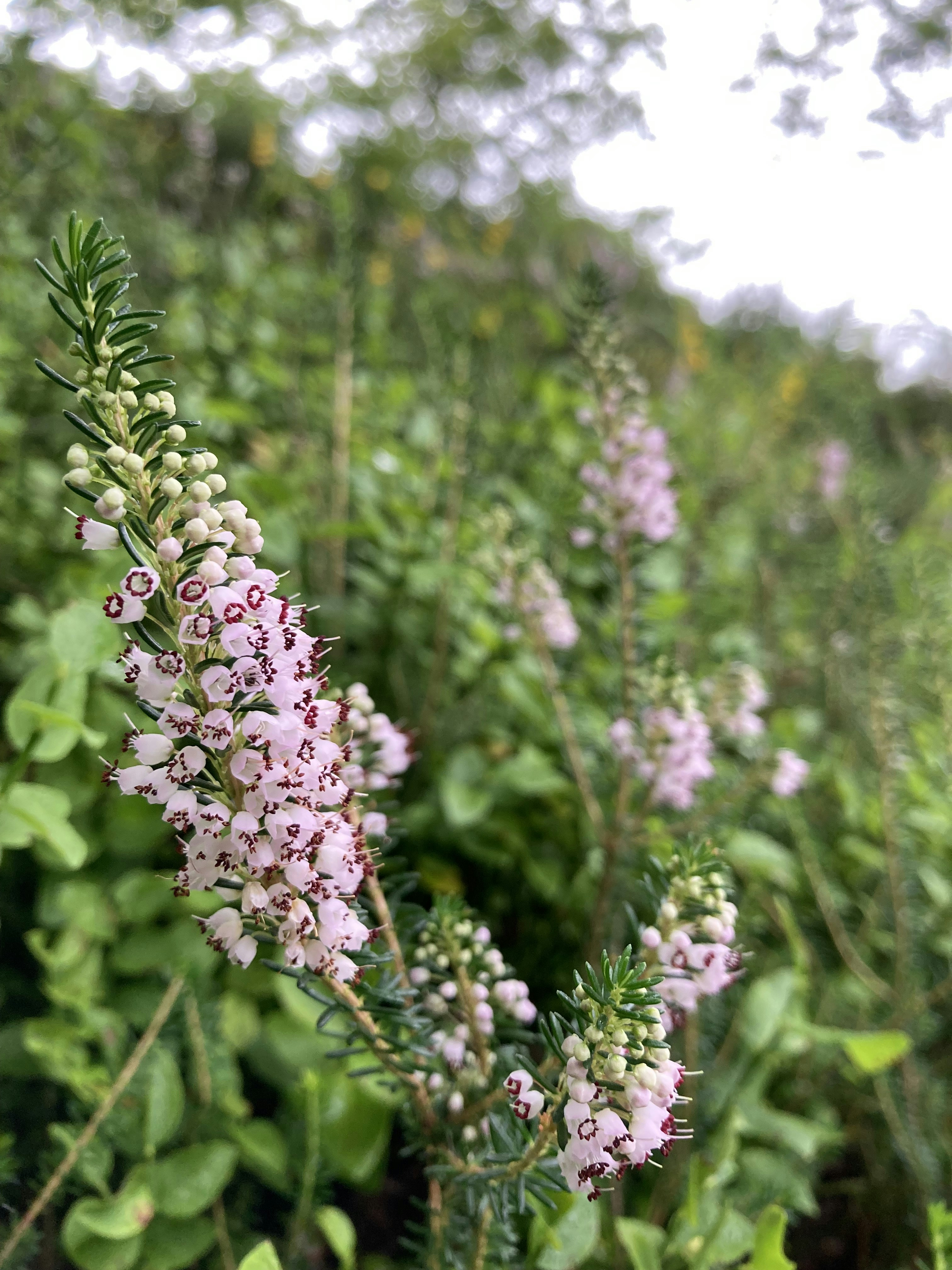 Photo by adilamarion