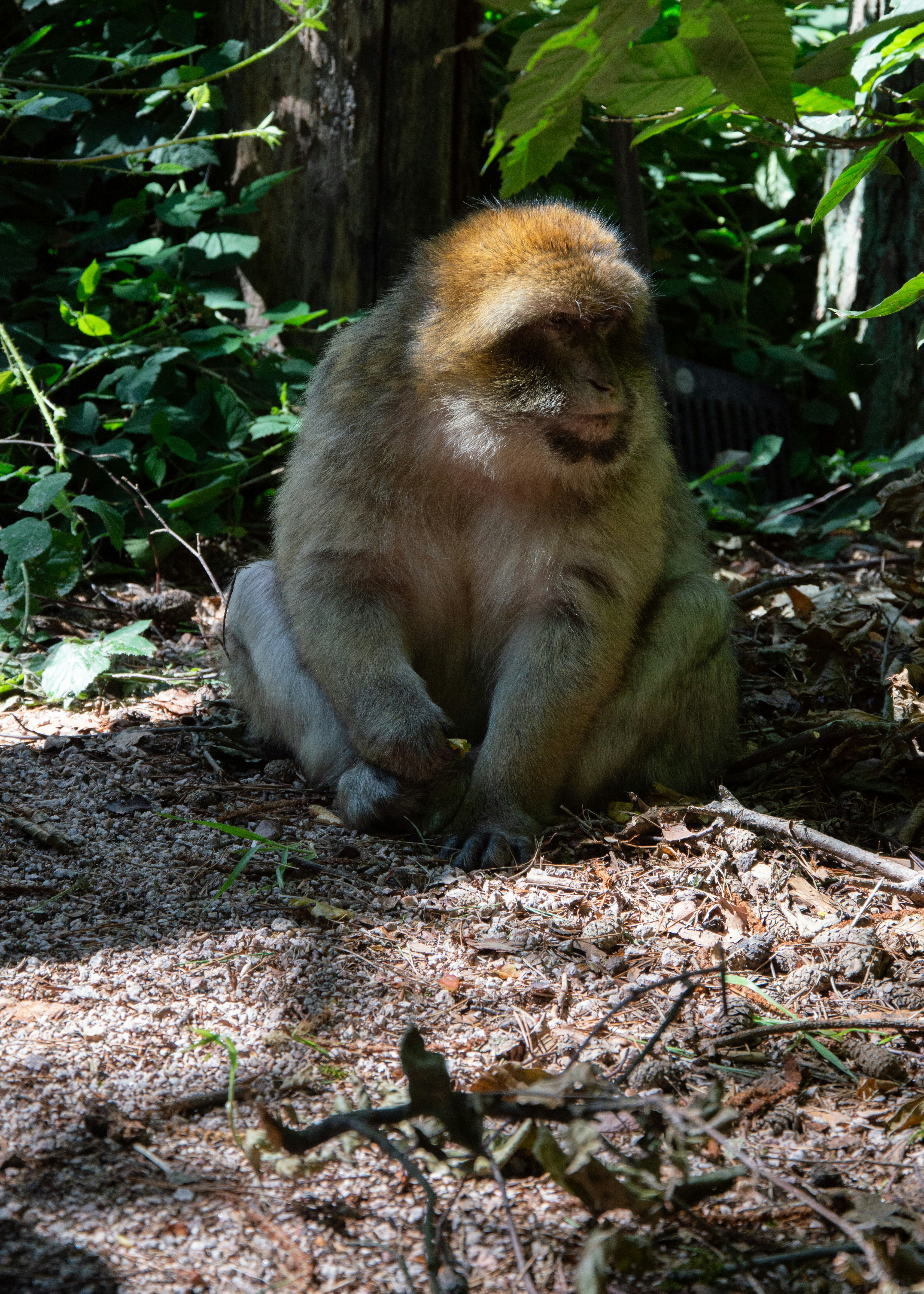 Photo by frederic_lobrutto