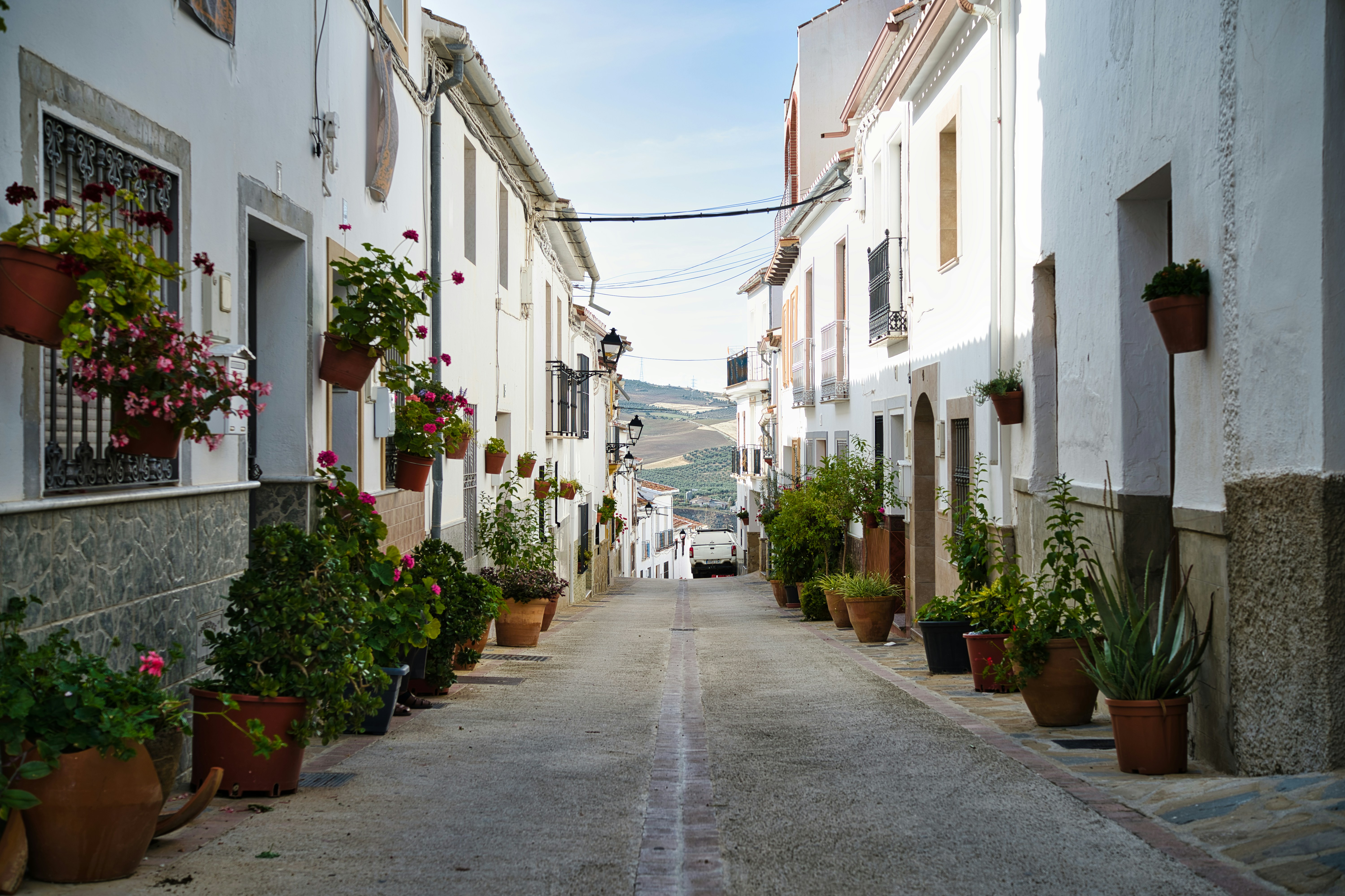 Independent Advisory