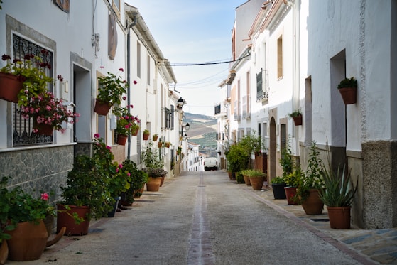 A narrow street with potted plants on both sides