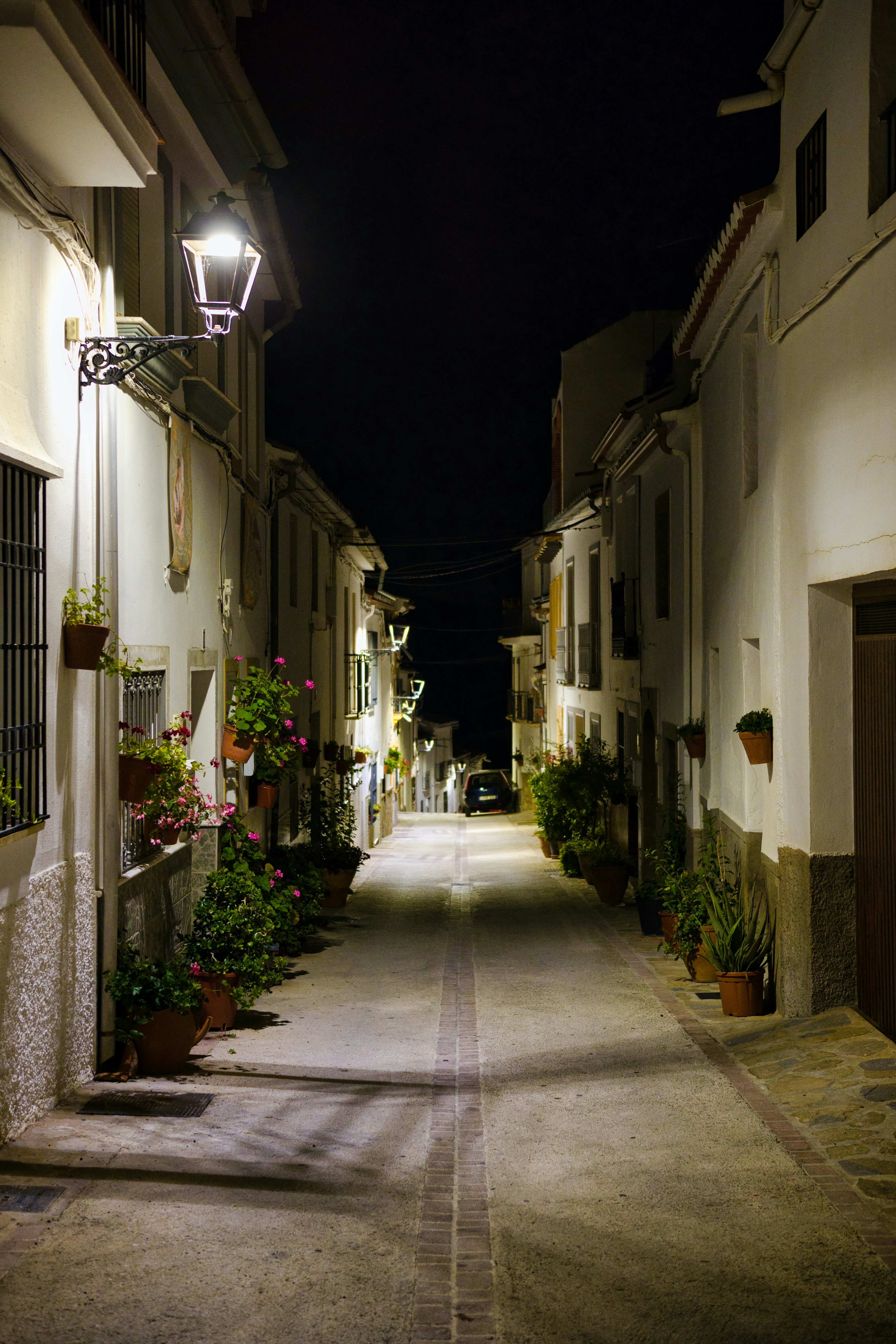 Eine schmale Straße bei Nacht mit Topfpflanzen