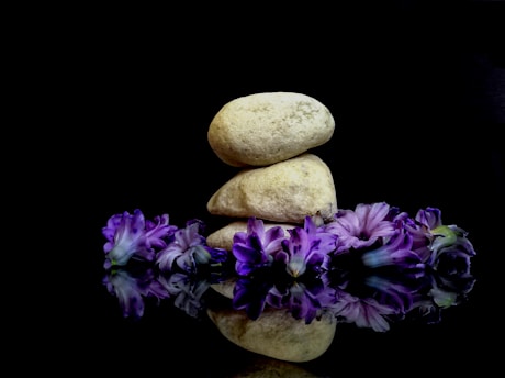 A pile of rocks sitting on top of a purple flower