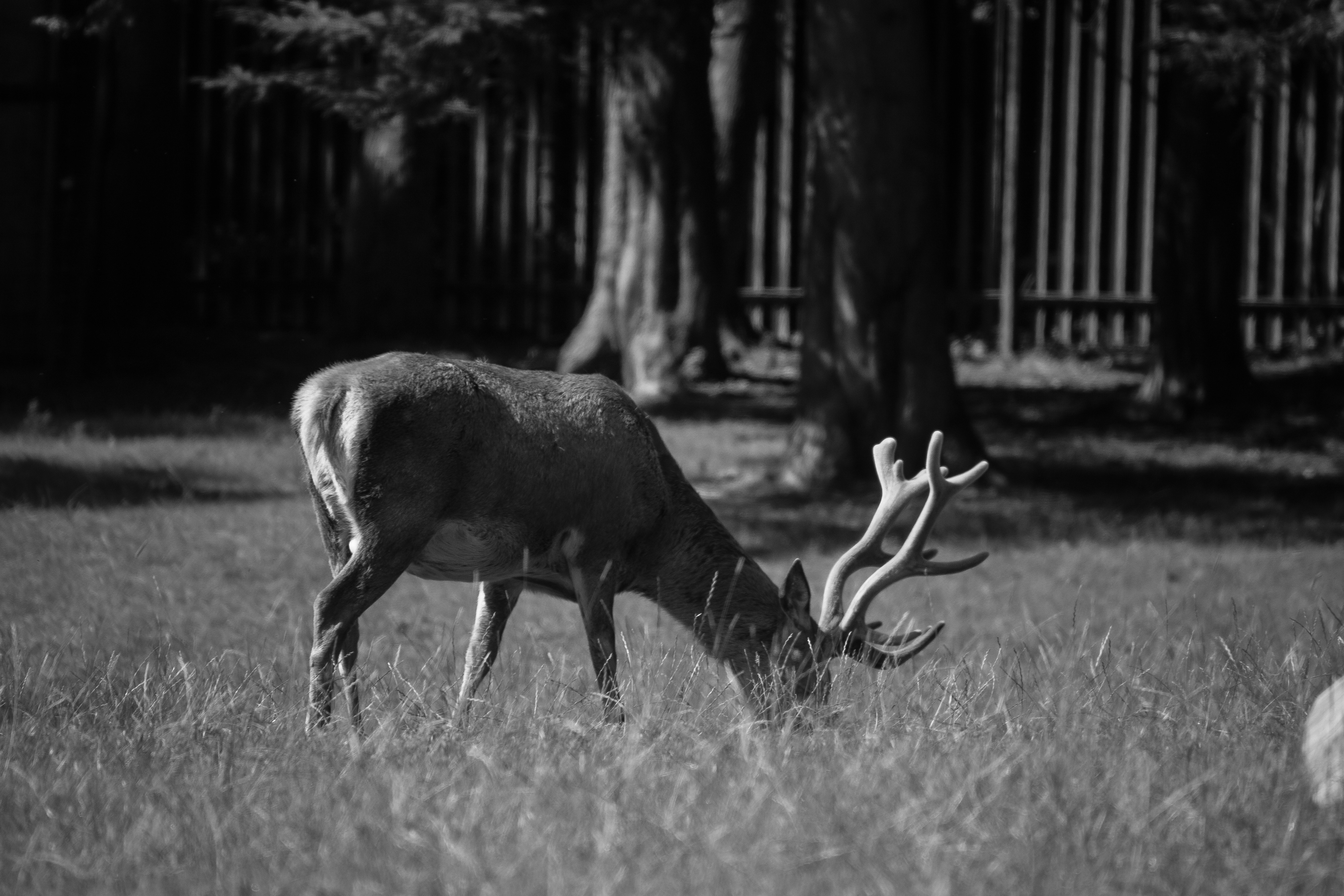 Photo by starkie_pics