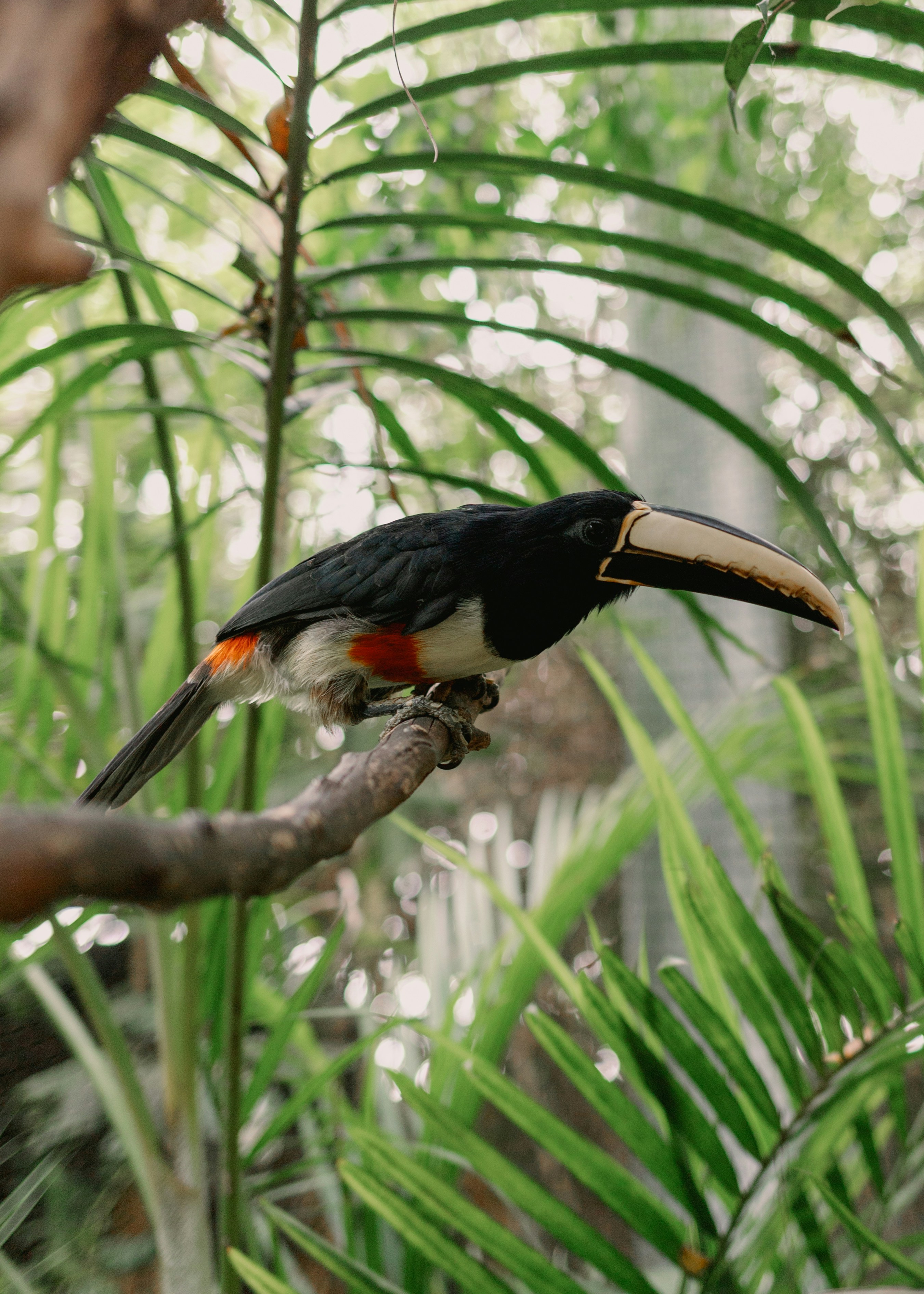 Photo by juliamatuzova