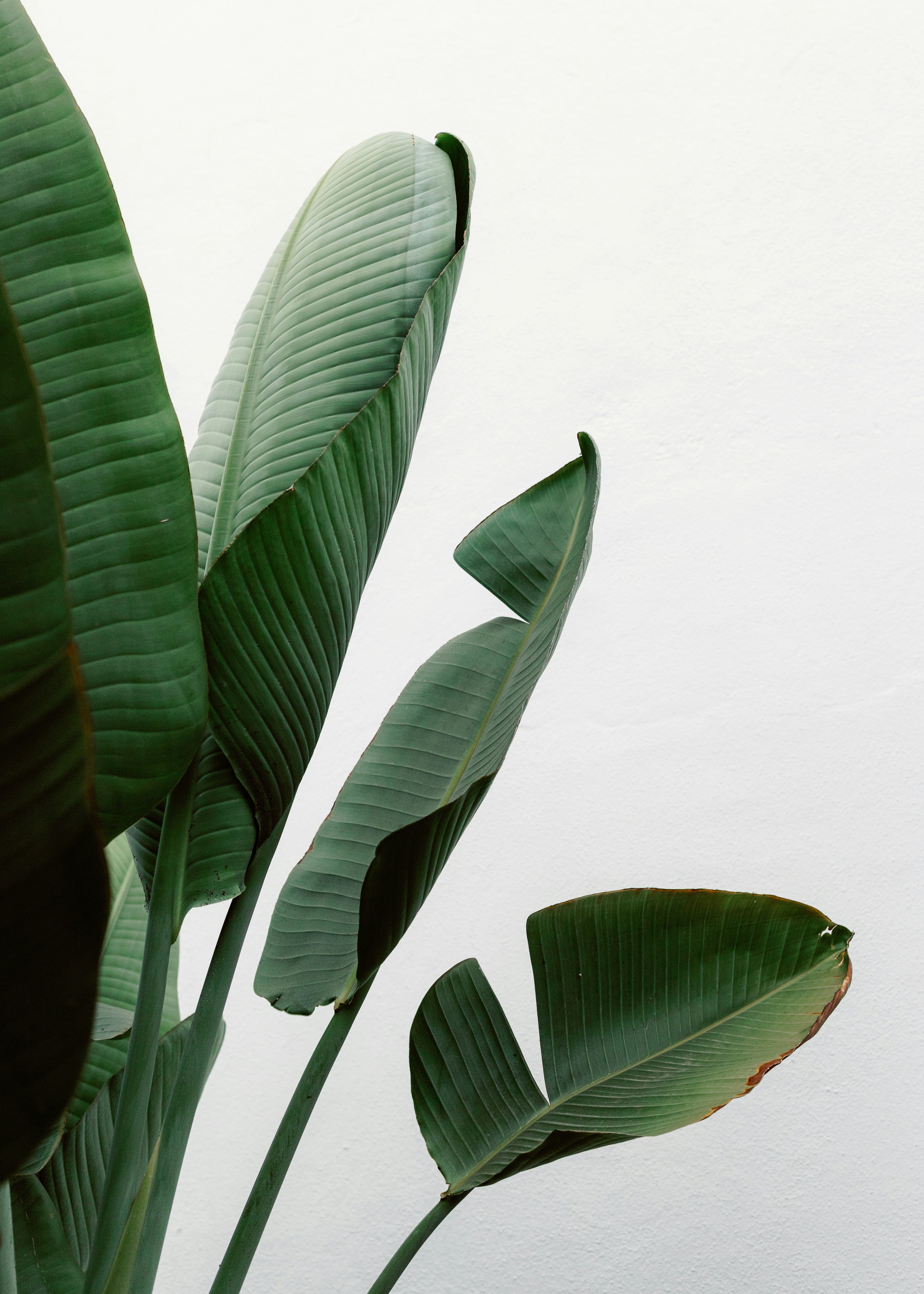 Photo by juliamatuzova