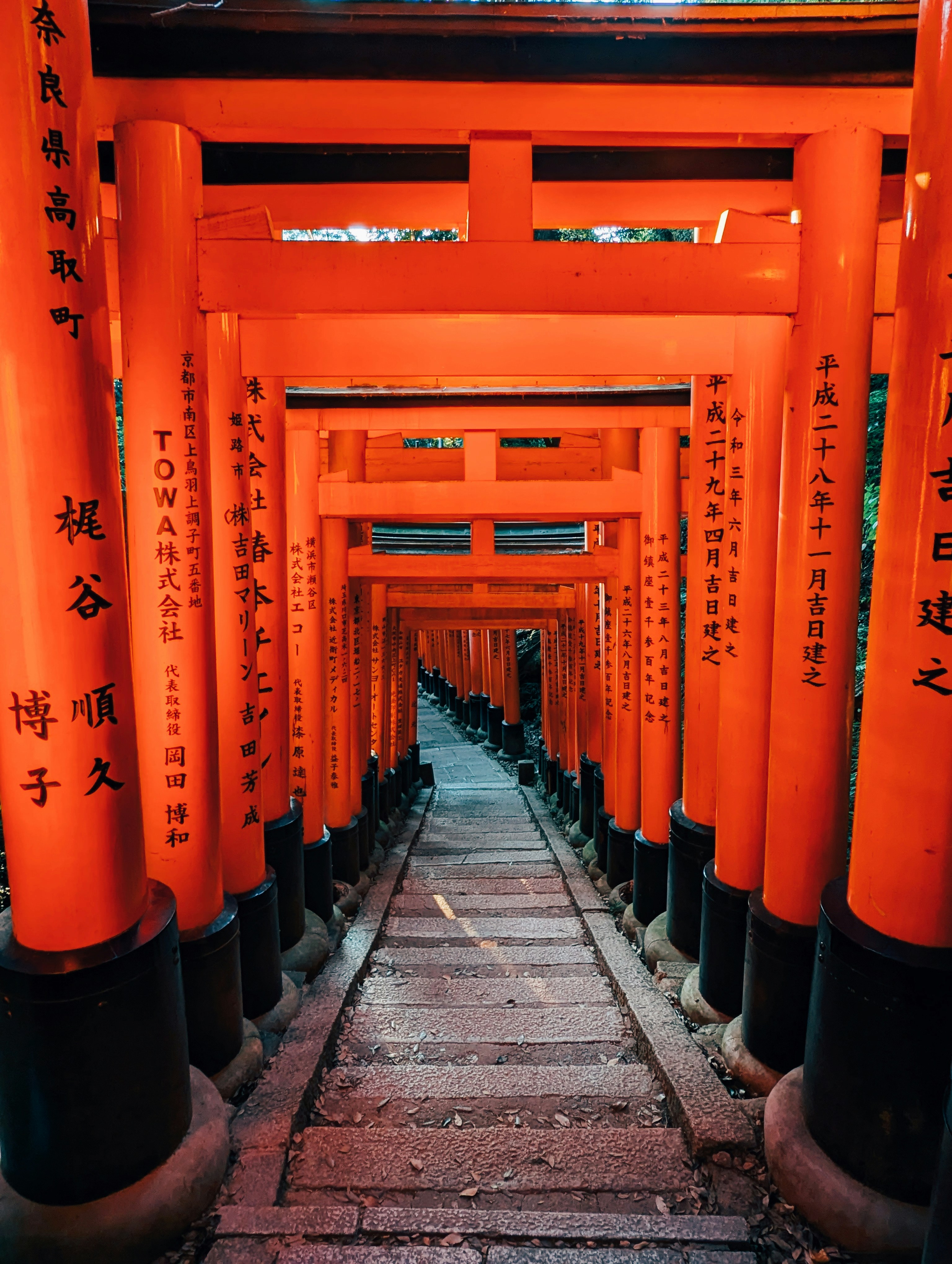 A long line of orange tori tori tori tori tori tori tori tori tori tori tori