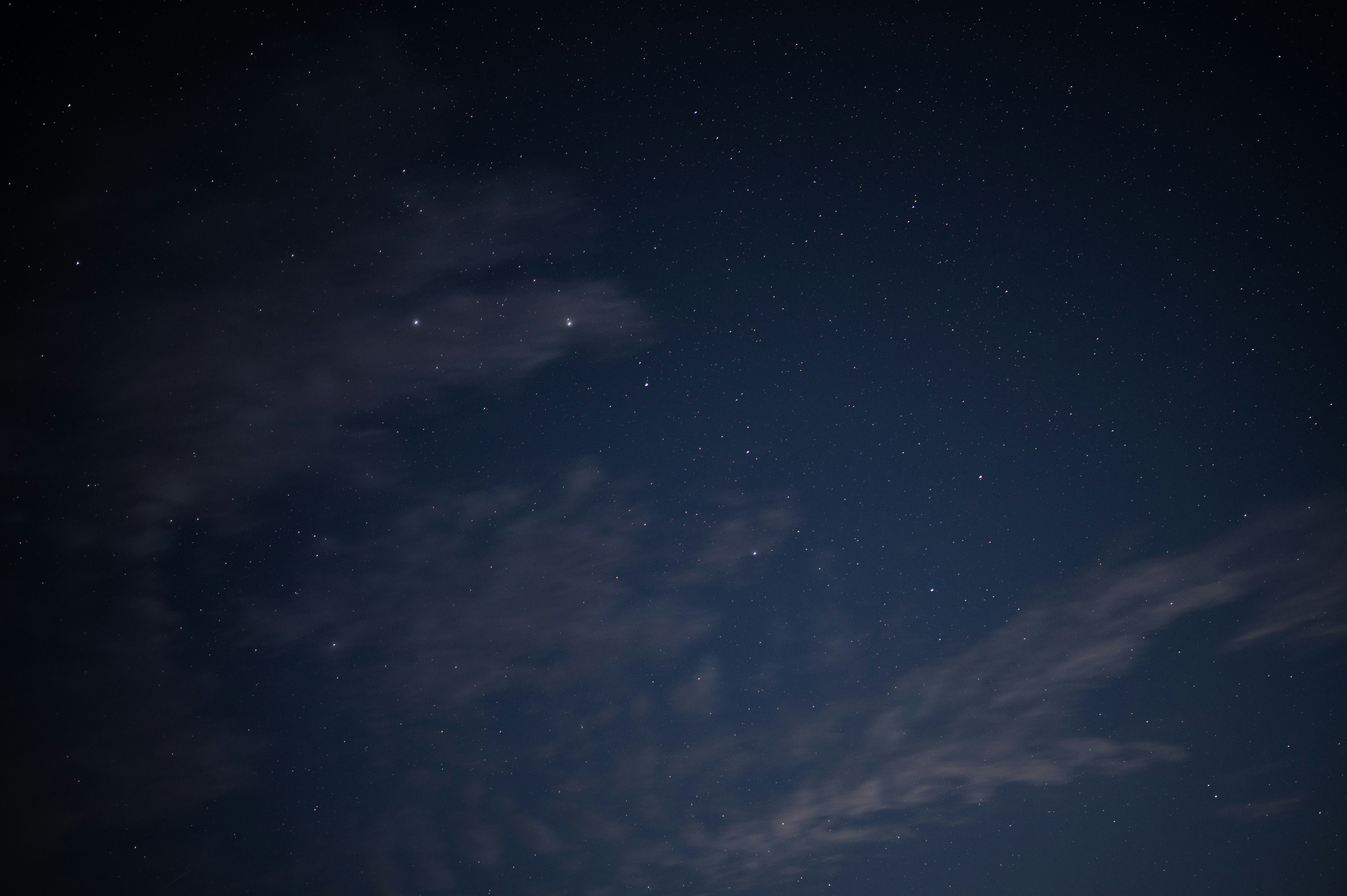 Photo by luca_severin