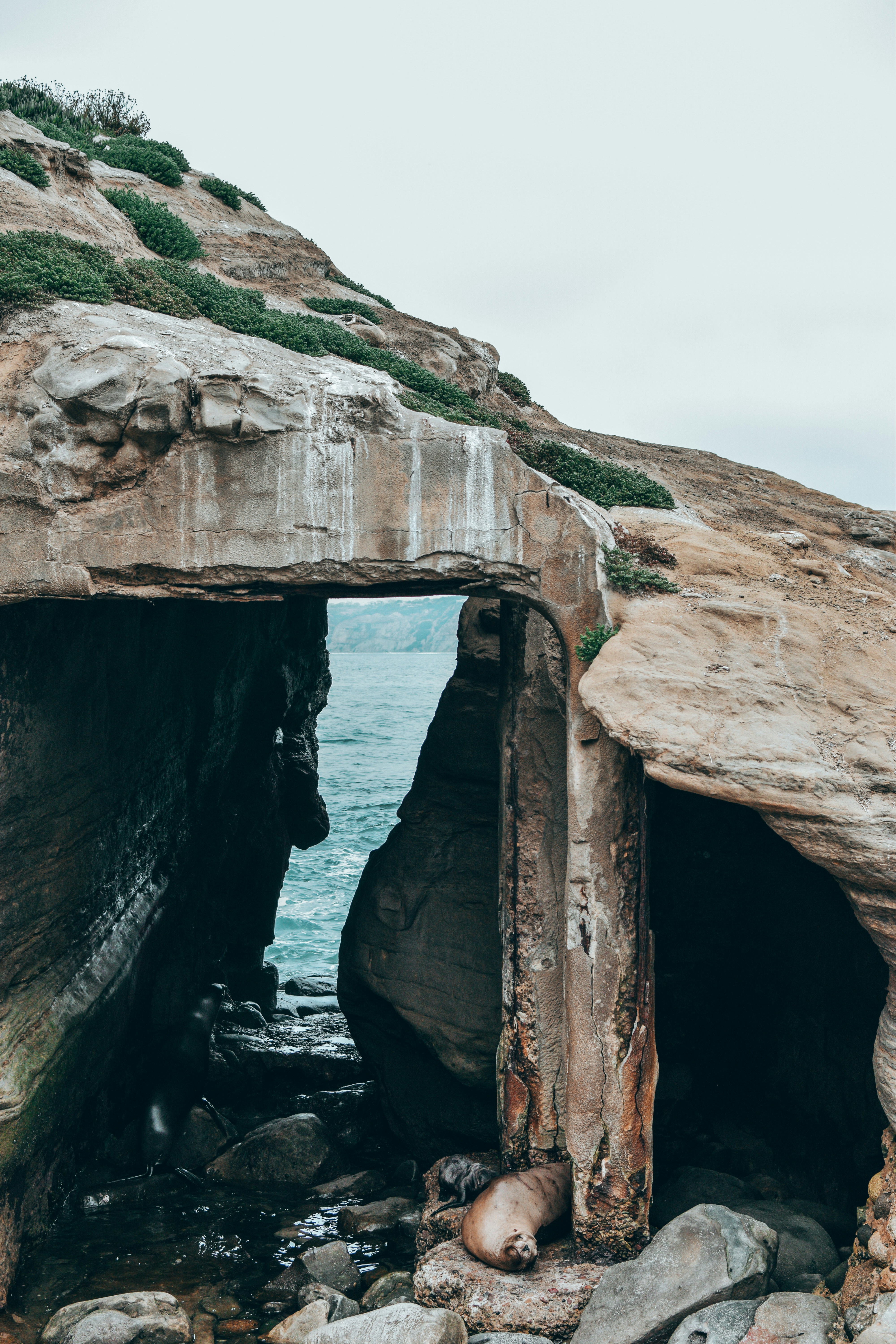 Photo by meganmajocha