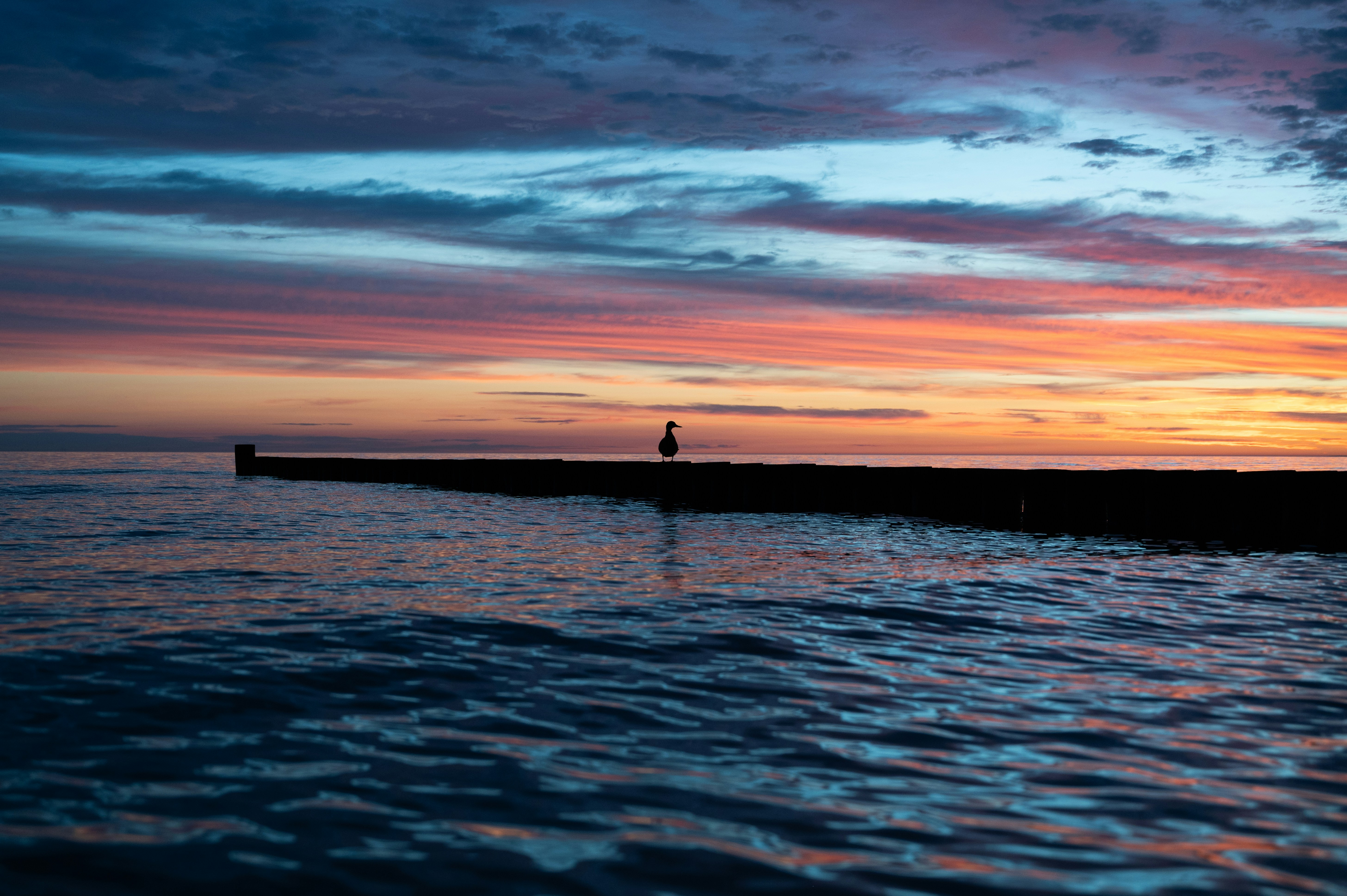 Photo by luca_severin