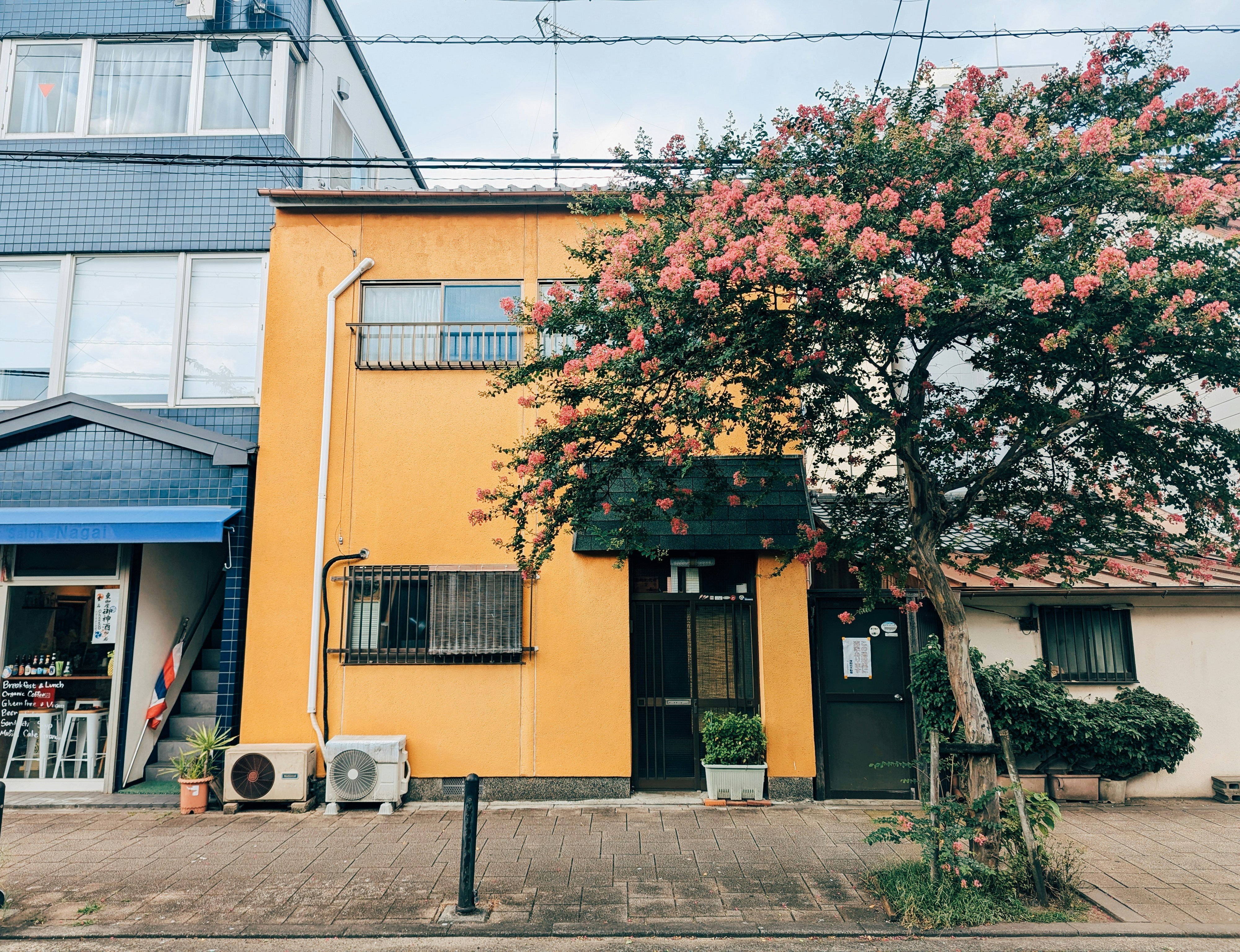 AMANO COFFEE ROASTERS