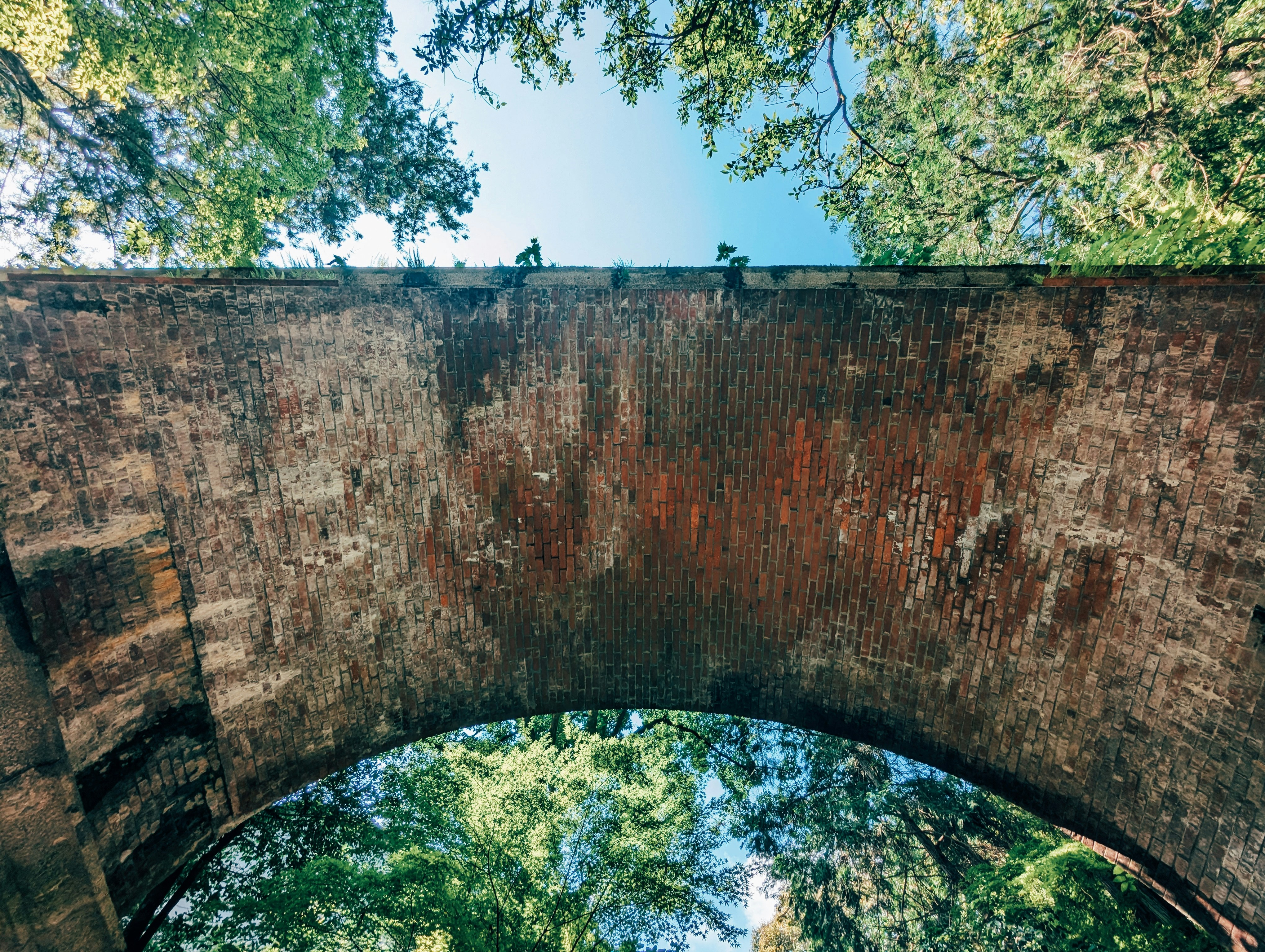 A view of a bridge from below with trees in the background