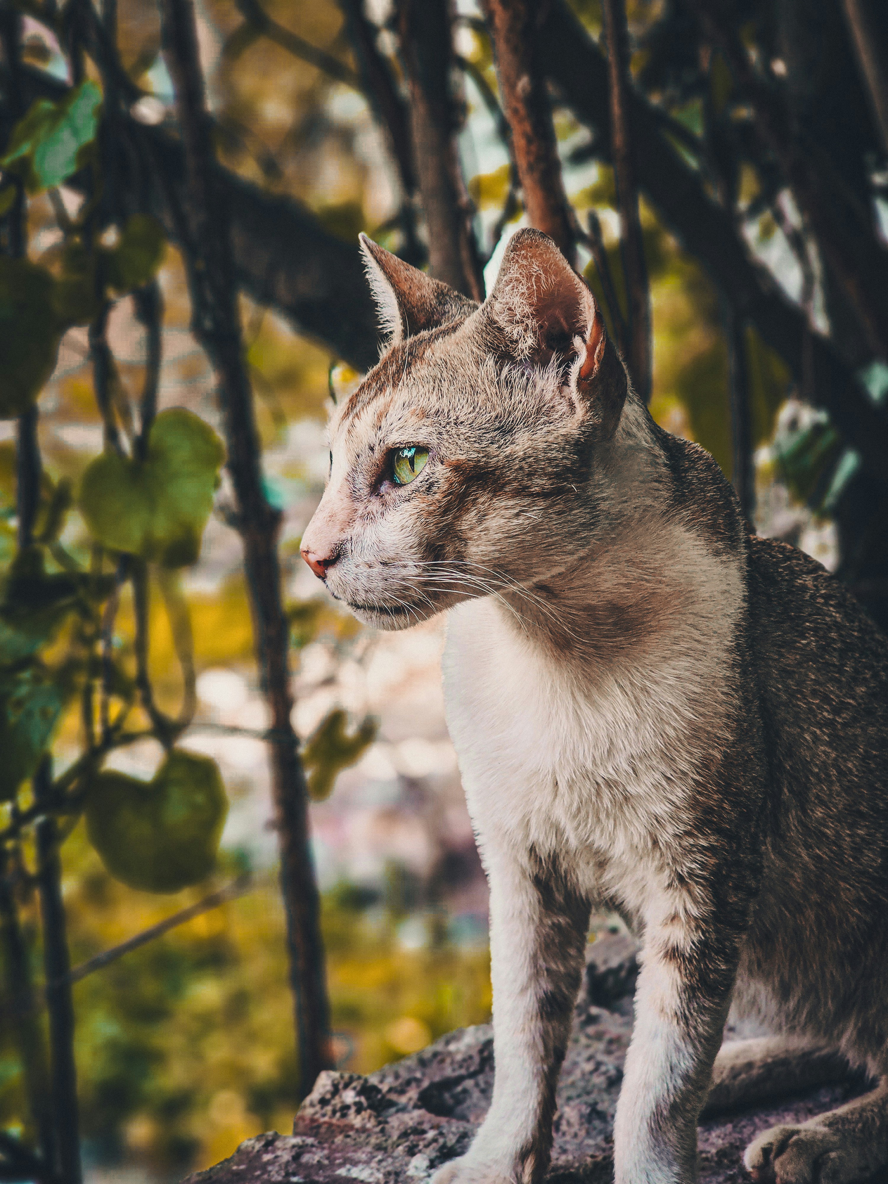 Photo by muntasir_ali