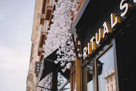 A storefront with a bunch of white flowers on it