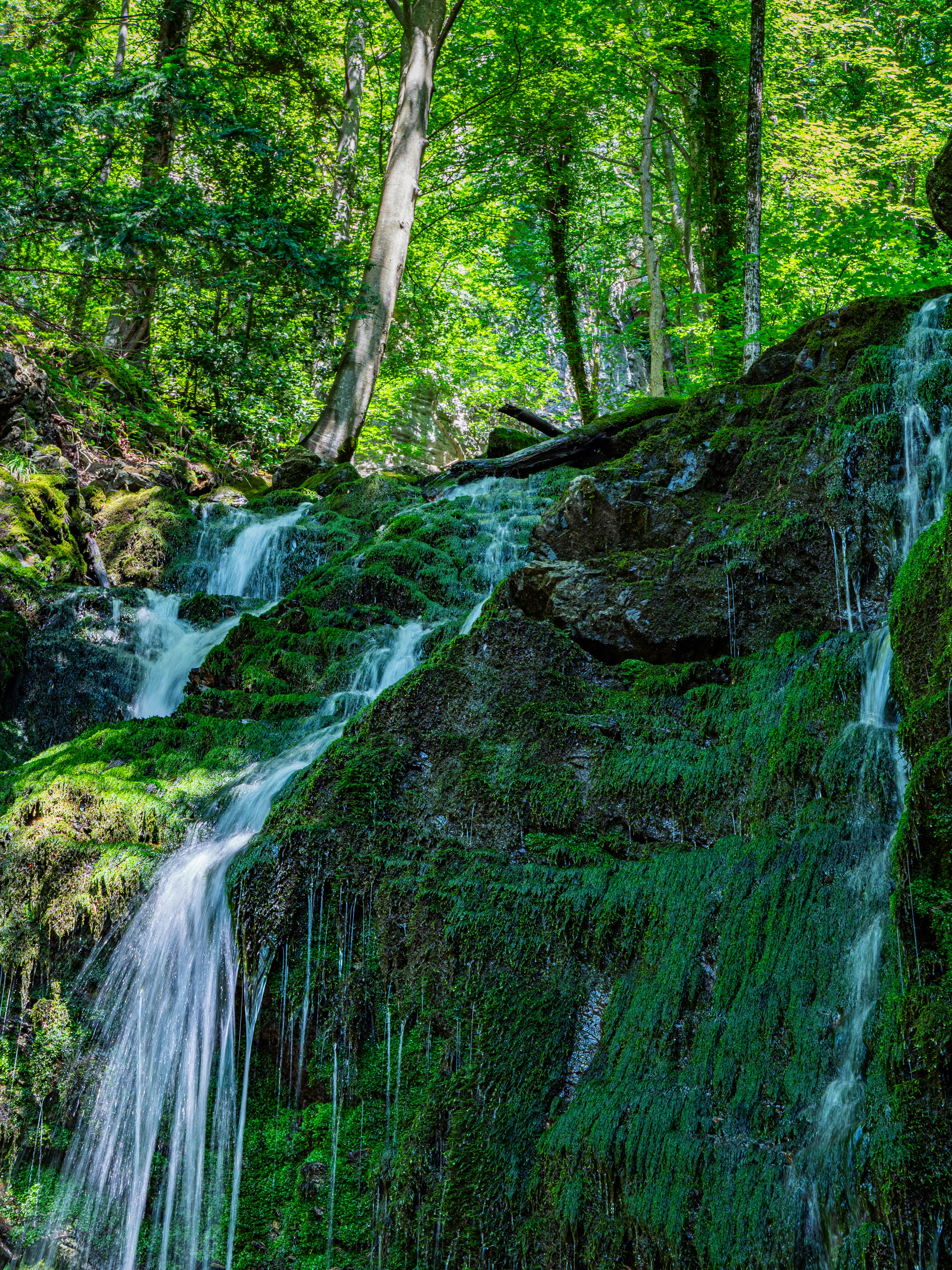 Photo by poli_graphy