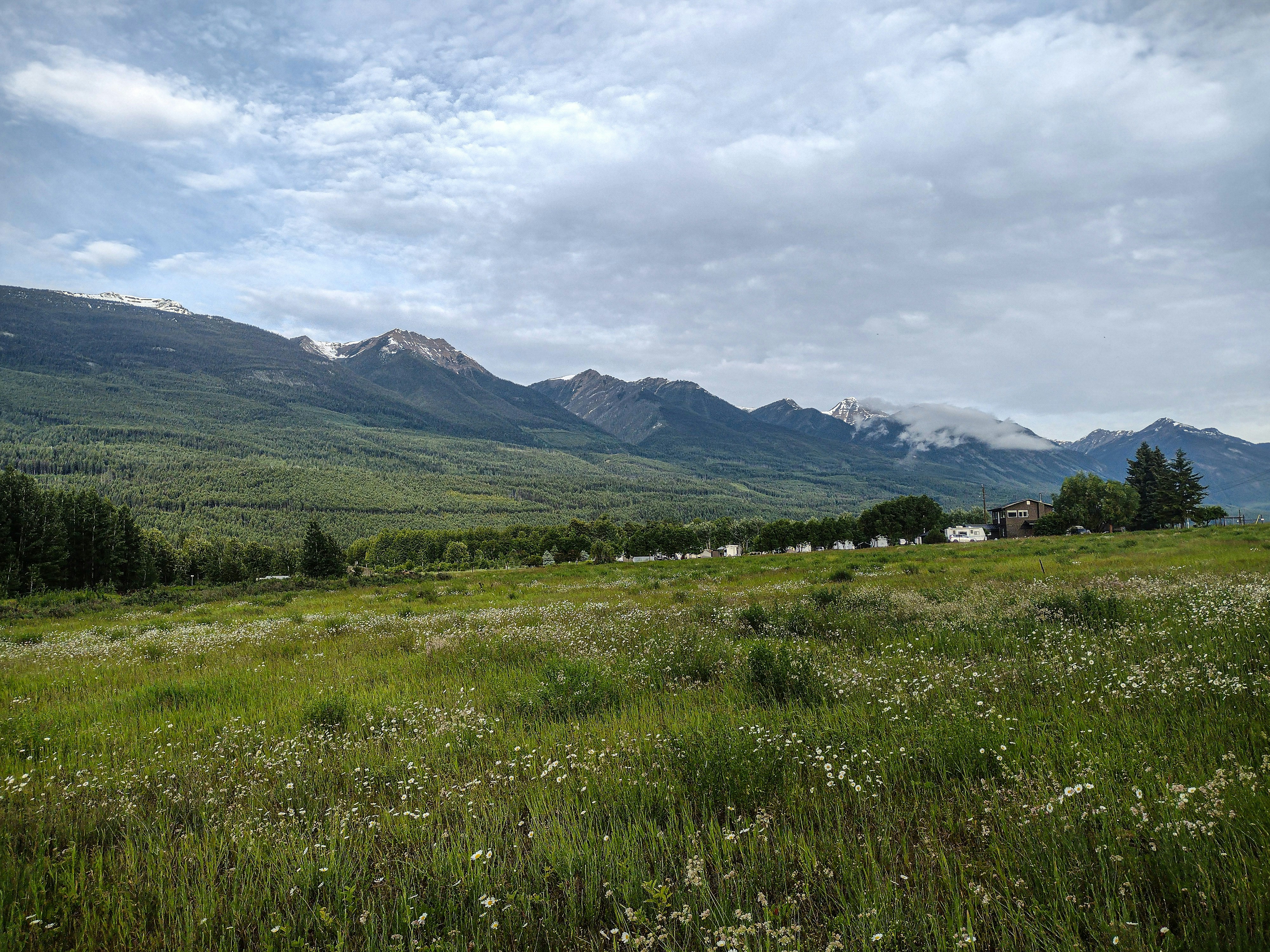 Un campo cubierto de hierba con montañas al fondo