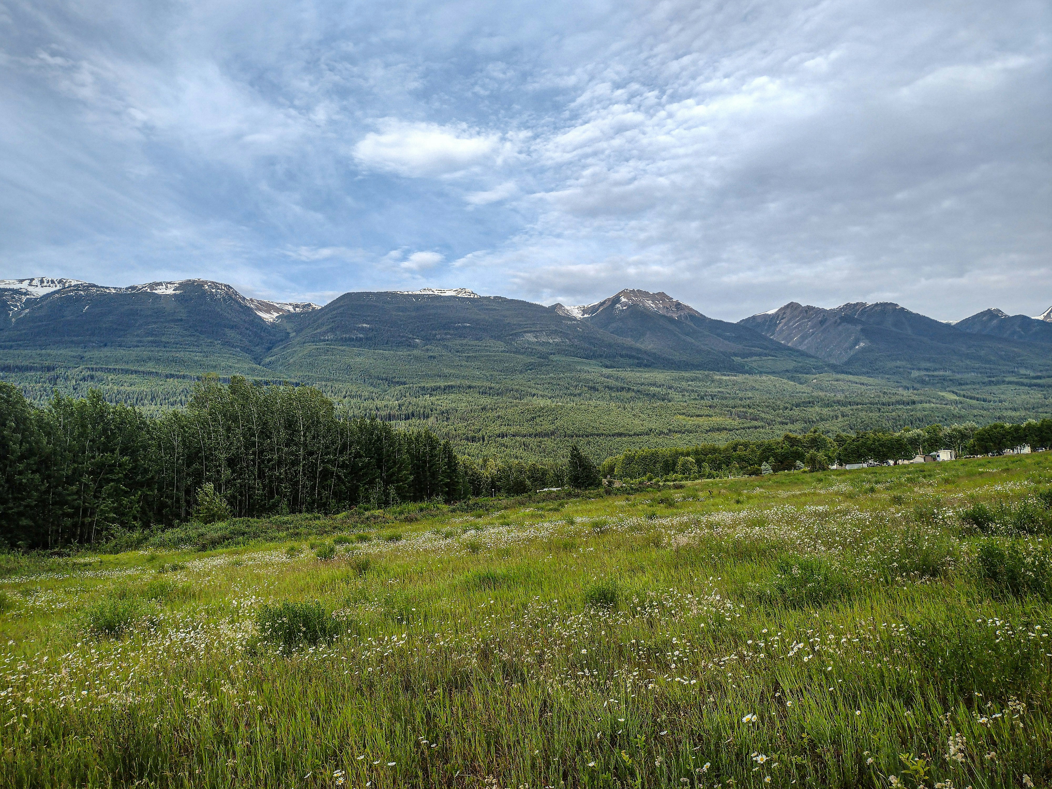 Un campo cubierto de hierba con montañas al fondo