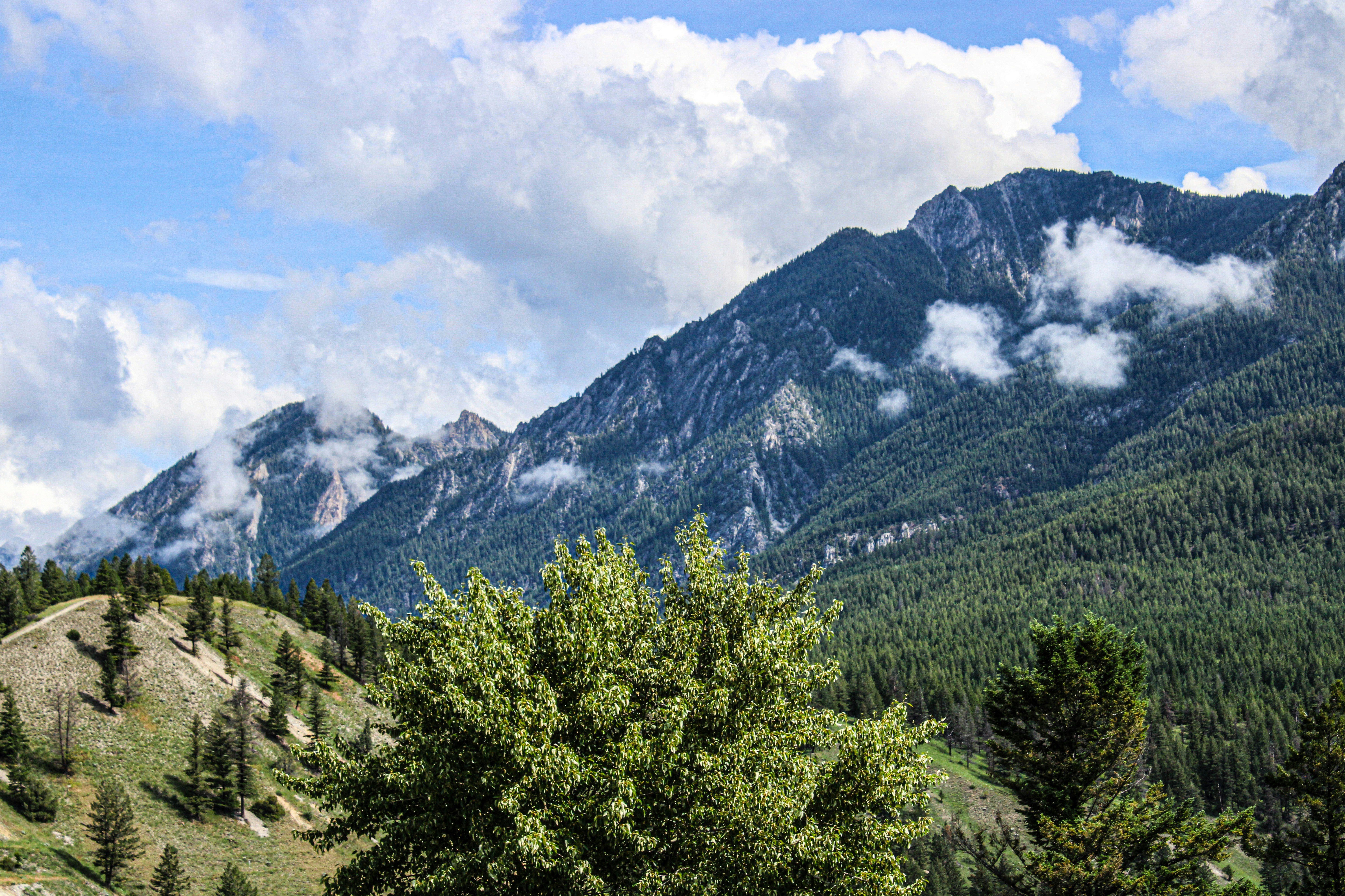 Photo by prphotography262