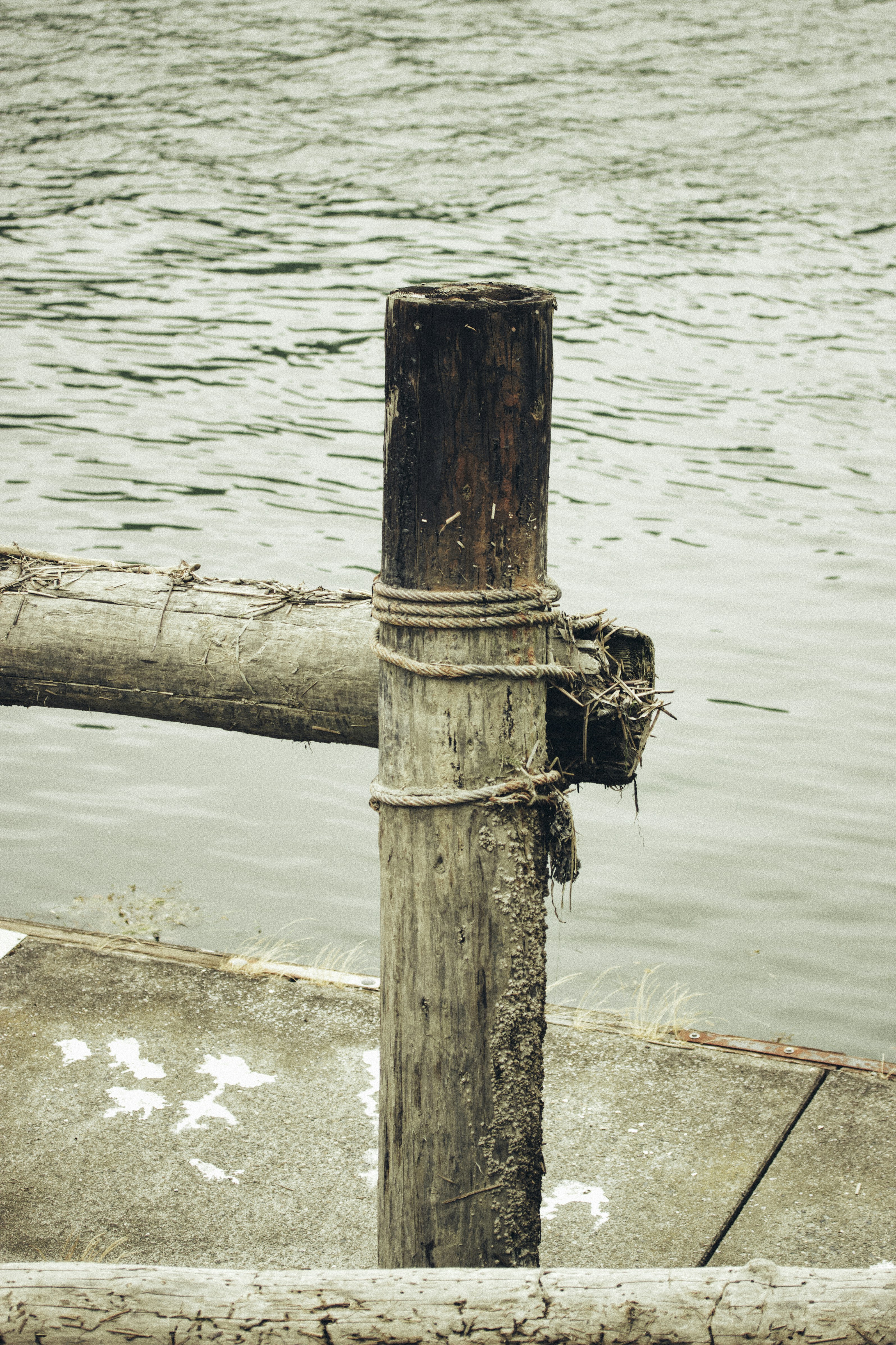 Photo by fickesphotos