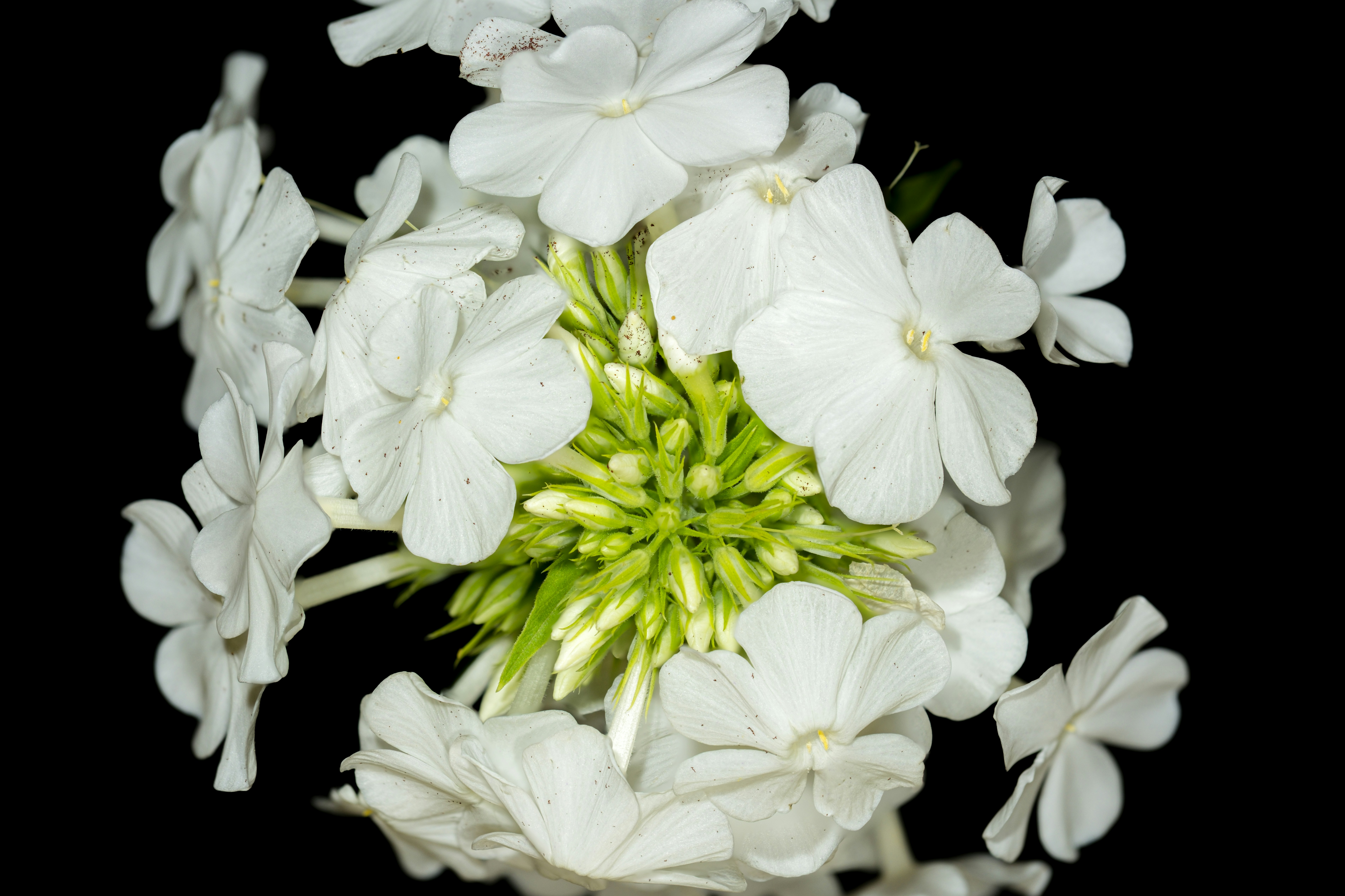 Photo by alexandredaoust