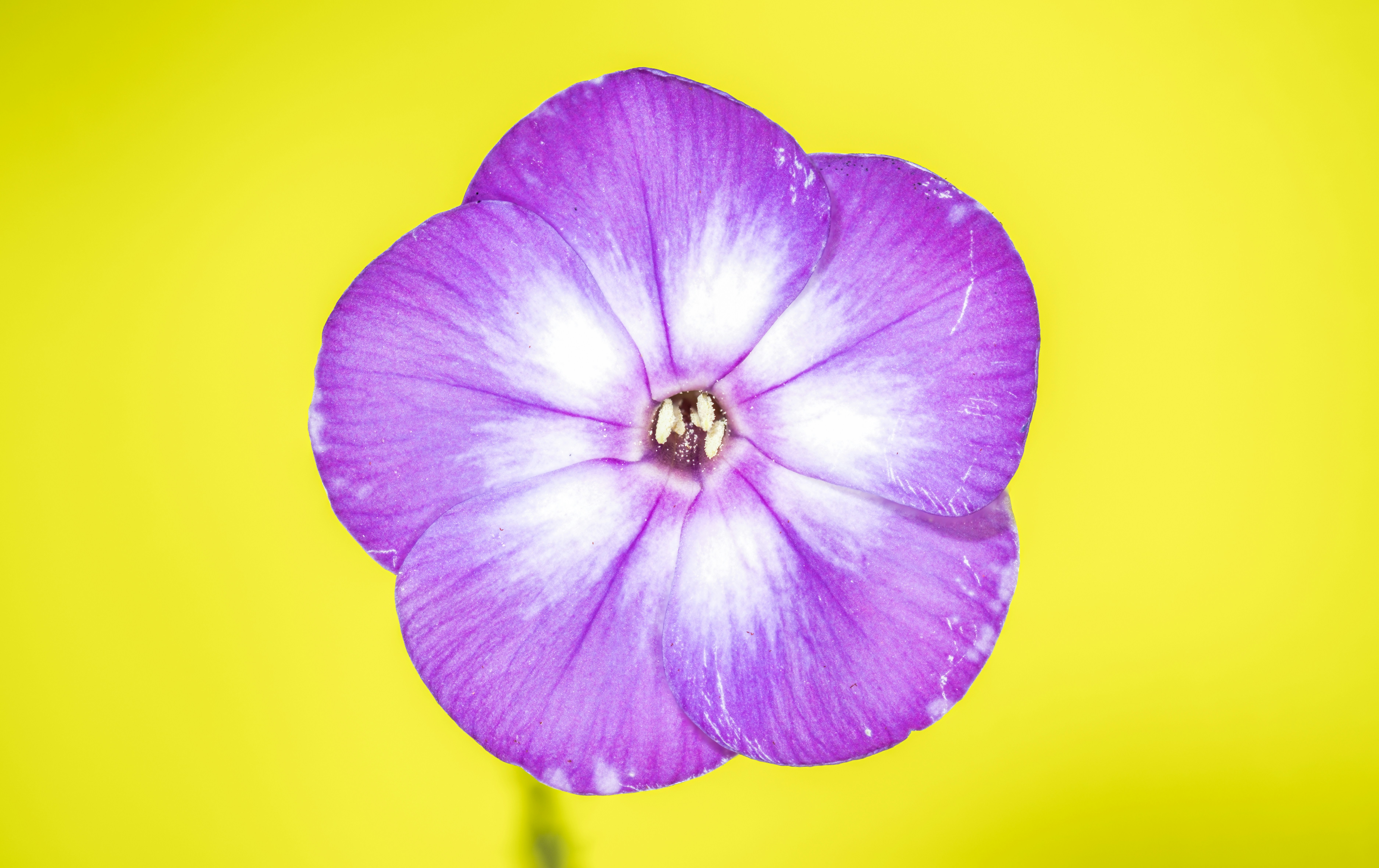 Photo by alexandredaoust