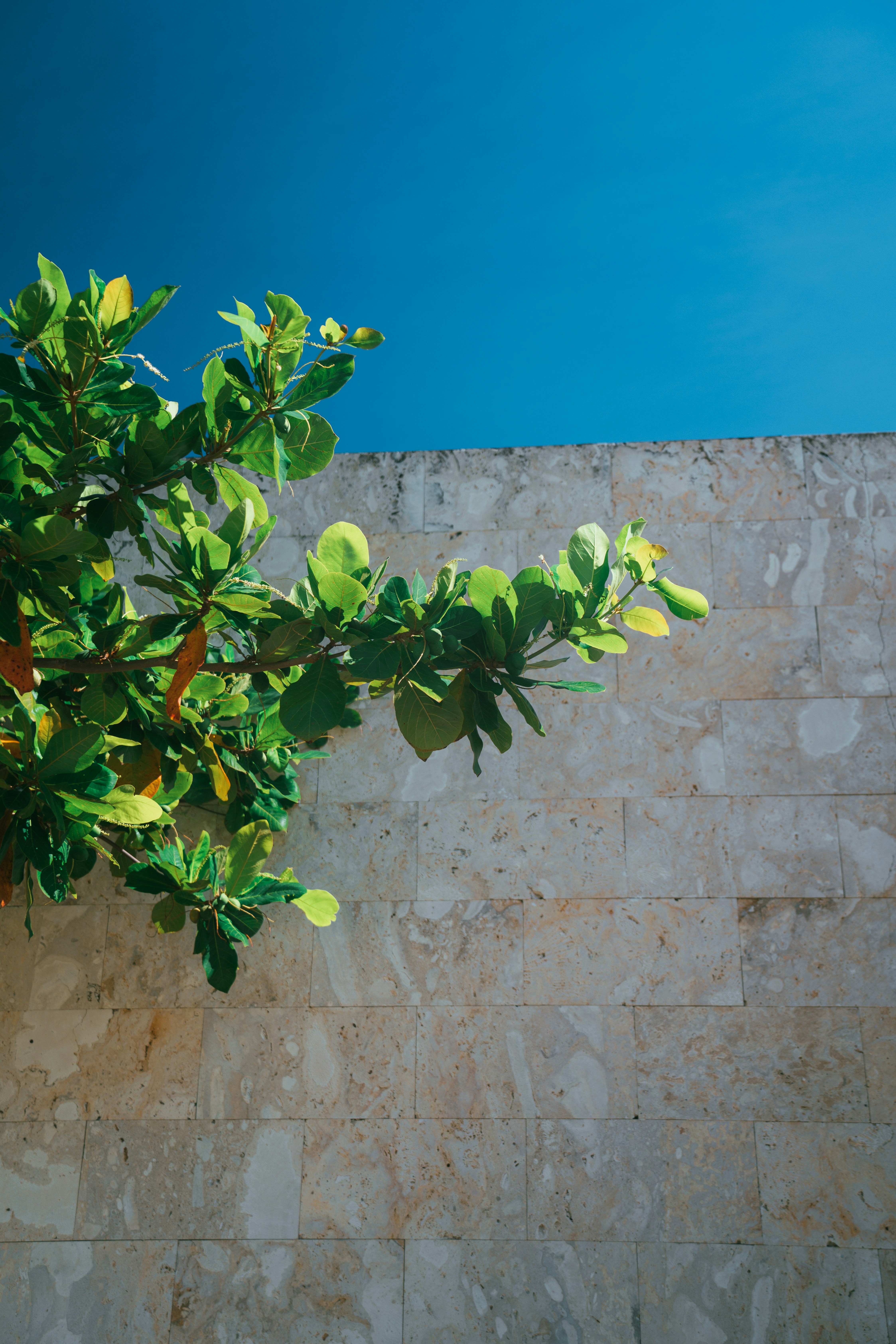 Photo by leonidas718